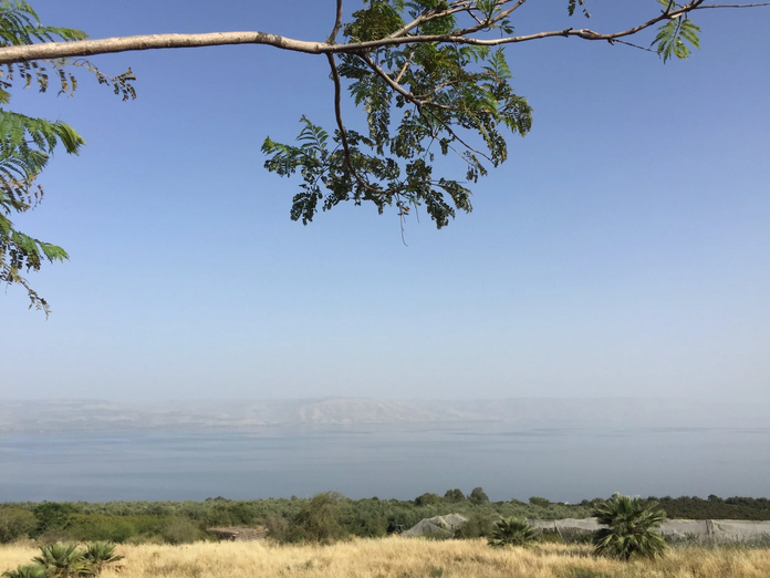 Screenshot 2026-02-03 120908.png