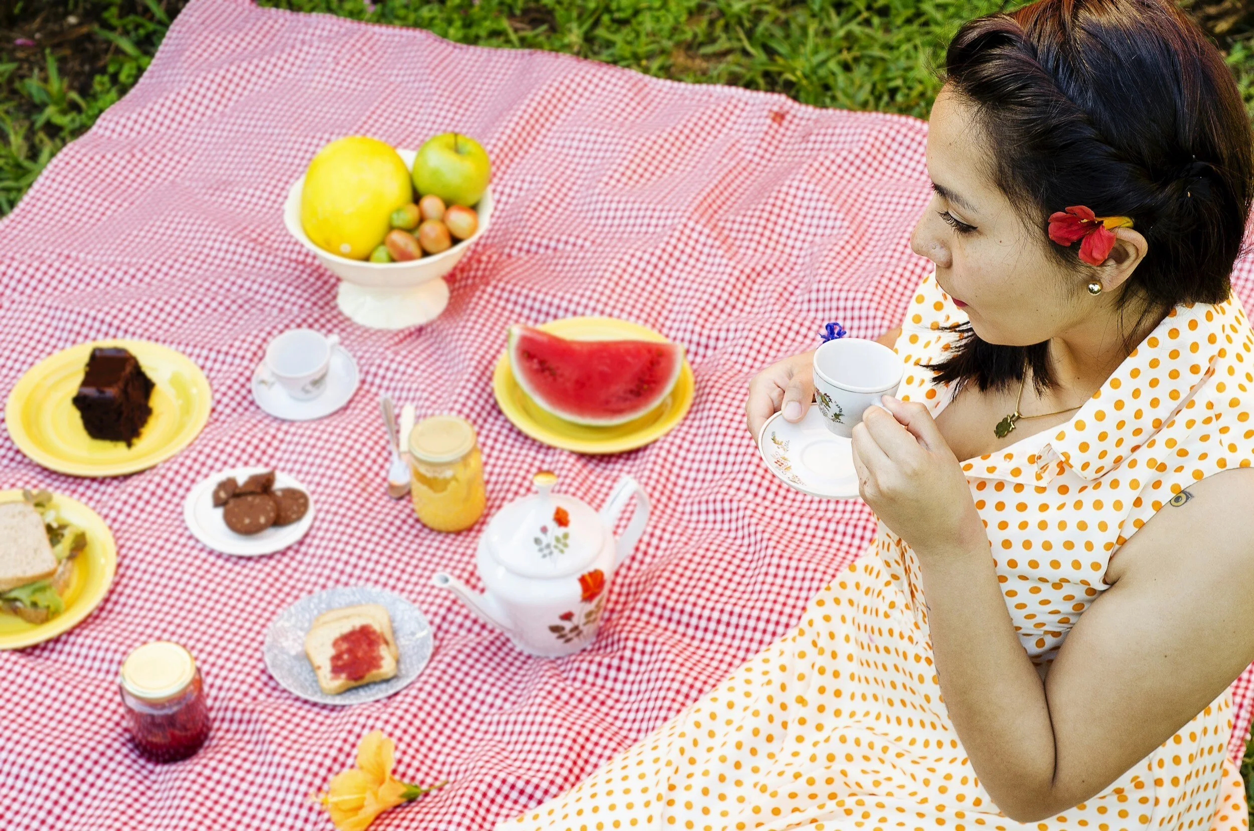 San Teddy Bear's Picnic