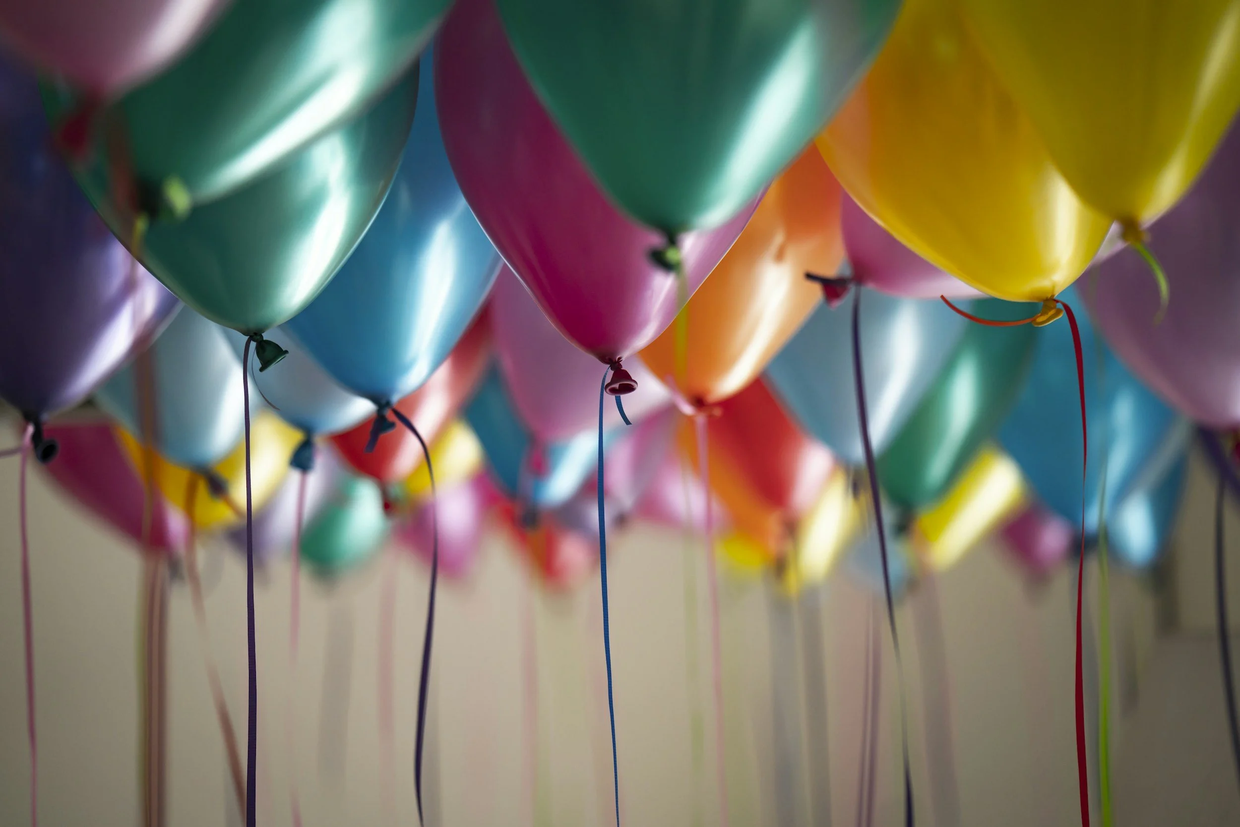 Holiday Closure - King’s Birthday