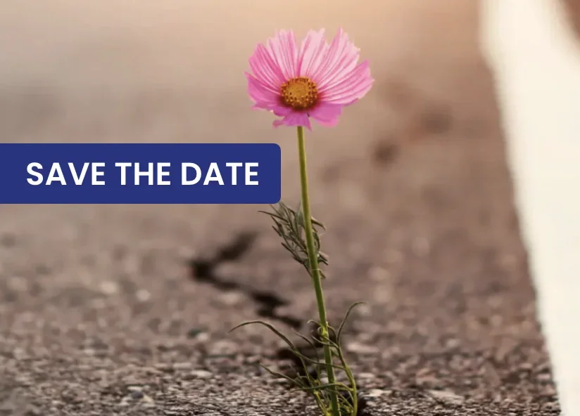 2026 Wellness Summit