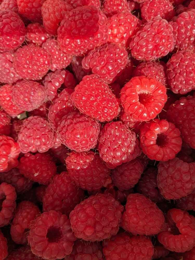 Vik raspberries