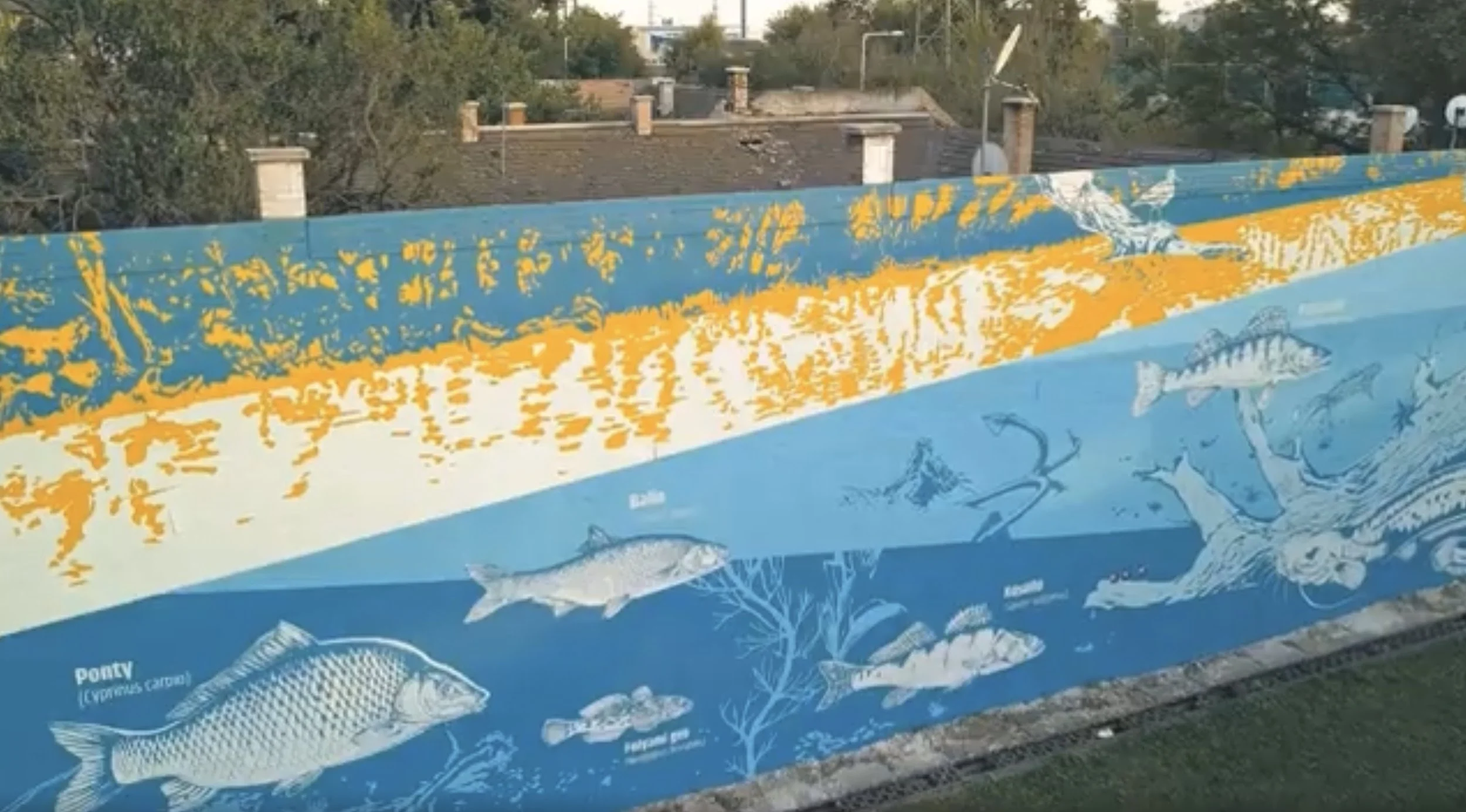 dunaihalak tűzfalfestmény vertigo murals.jpg
