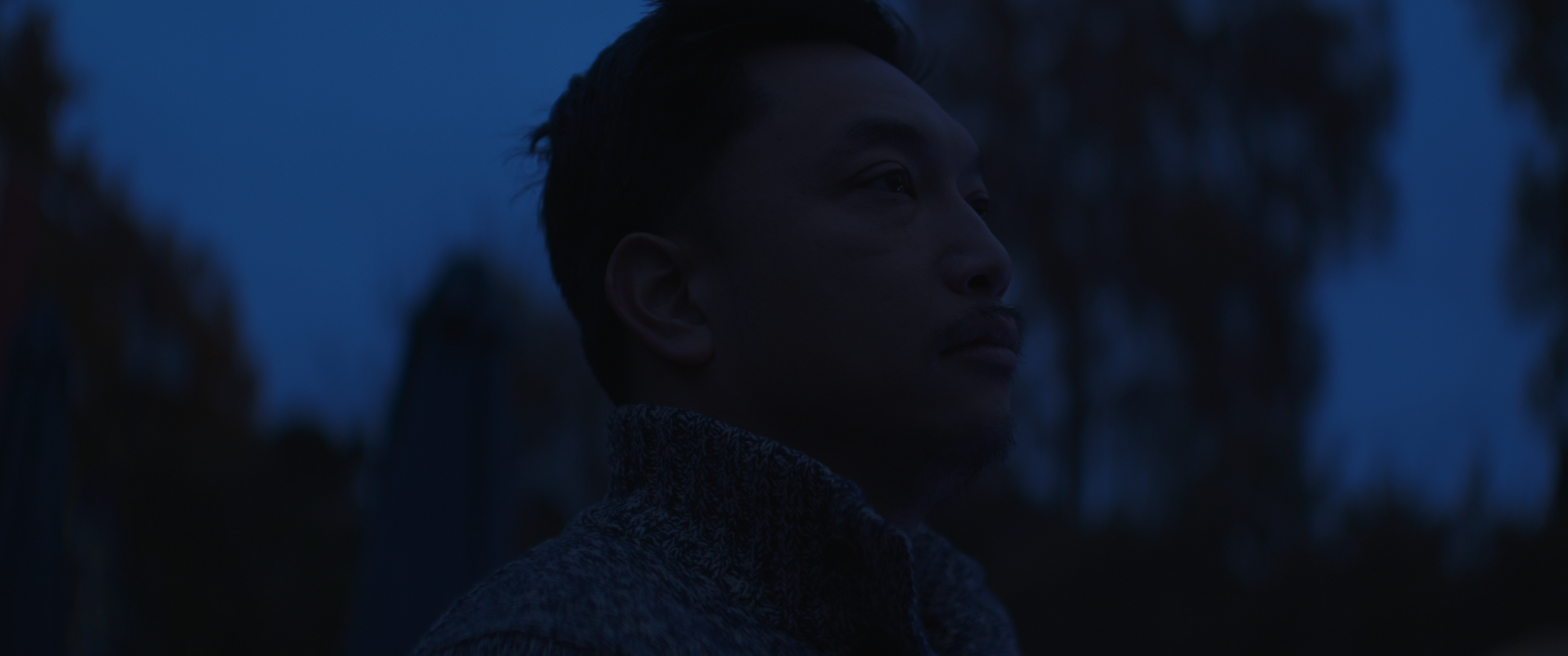 Still 2026-02-13 092341_1.1.1.png