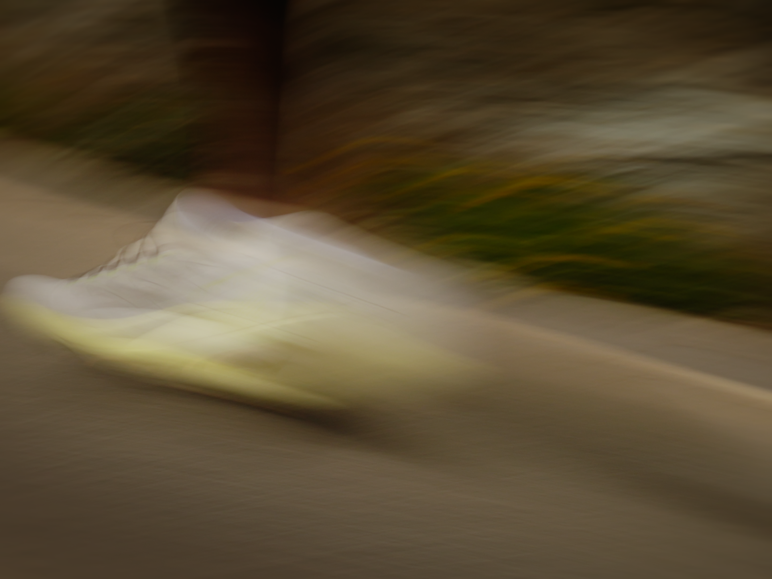 SALOMON STILLS_1.16.2.png