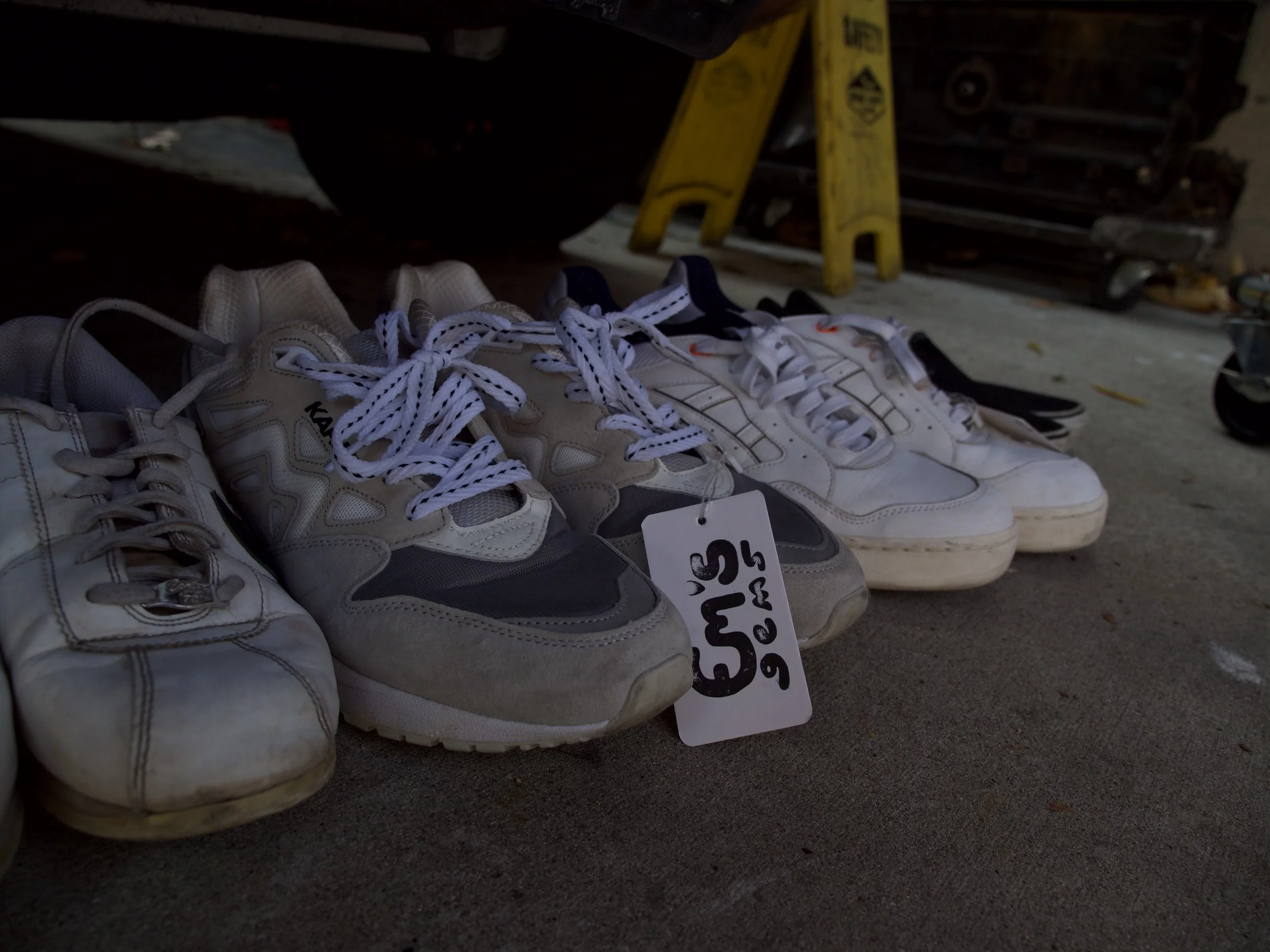 P1822636.jpeg
