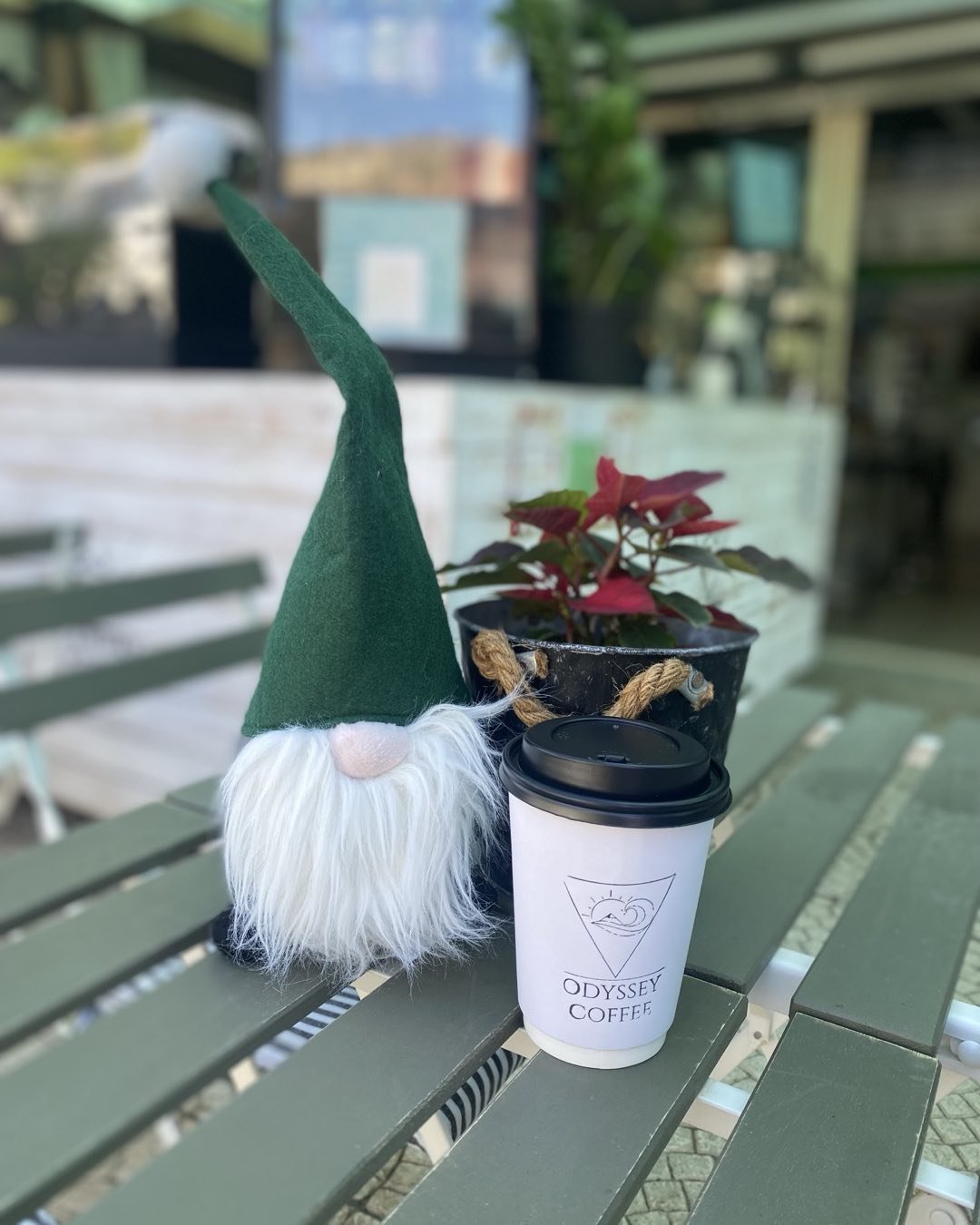 Token Christmas gnome says to come and grab a coffee at the Christmas light switch on in the bay. #christmas #christmaslightswitchon #pissouribay