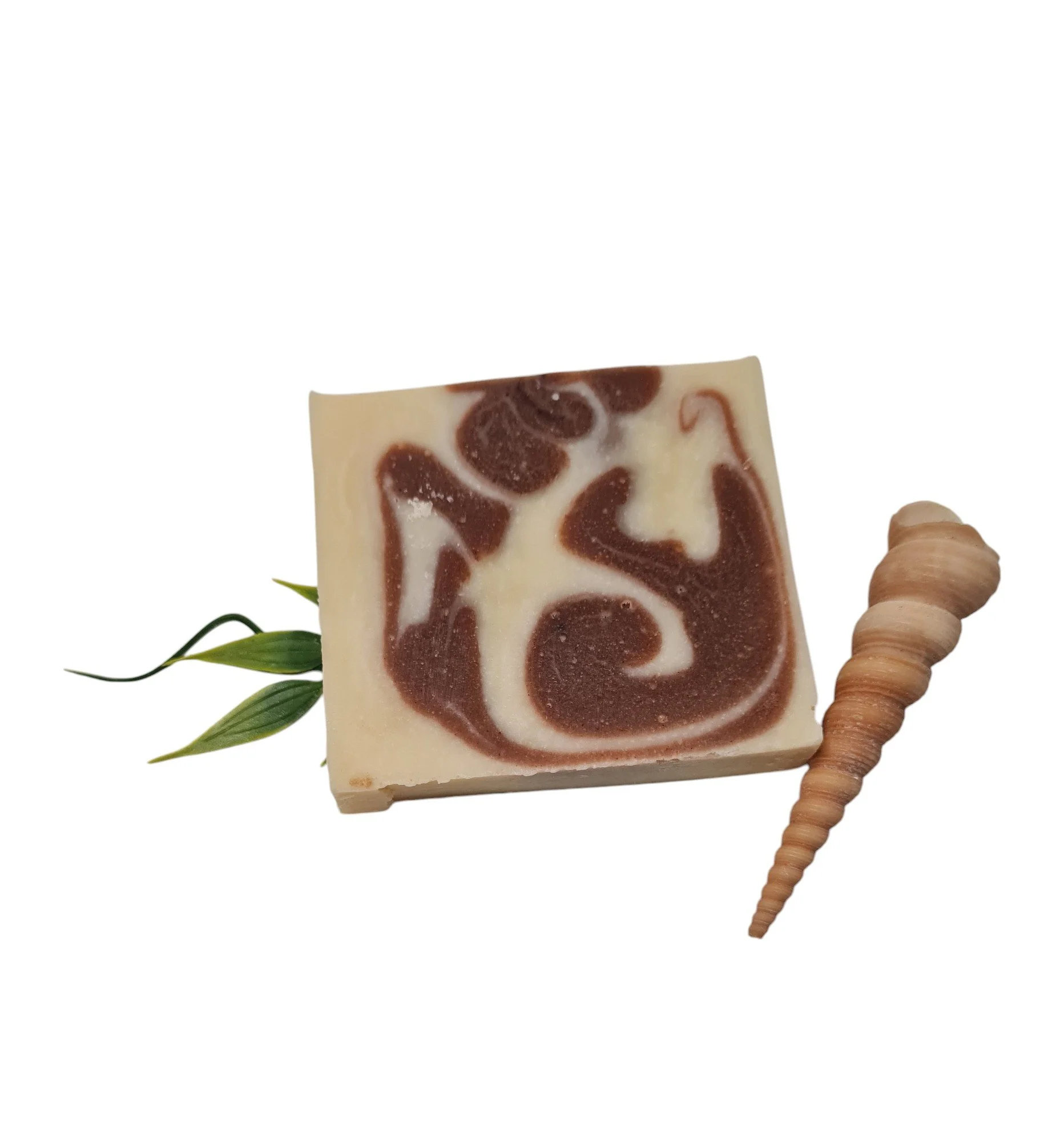 20210219_130145 - Kopiert-Photoroom.jpg