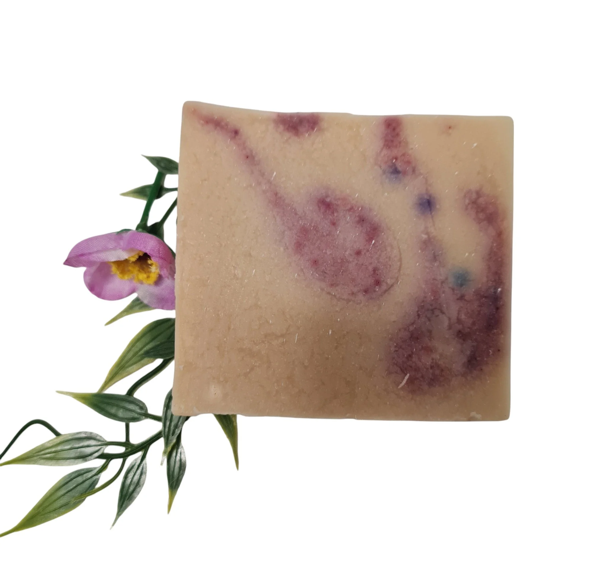 20210219_125750 - Kopiert-Photoroom.jpg