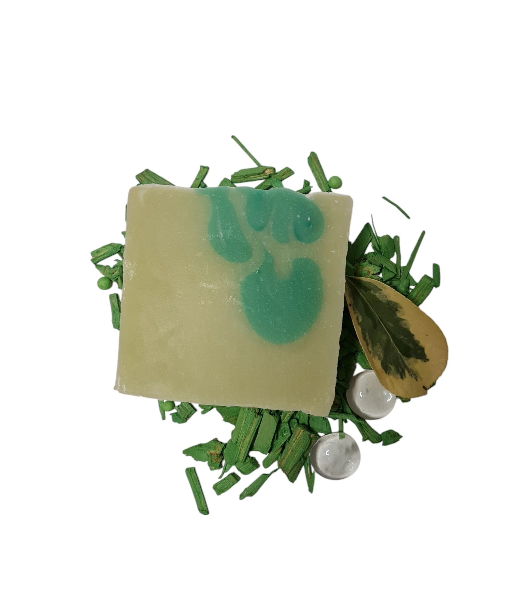 Aloe Vera Seife, frisch einzigartig, vegan, mit Kakaobutter und Olivenöl