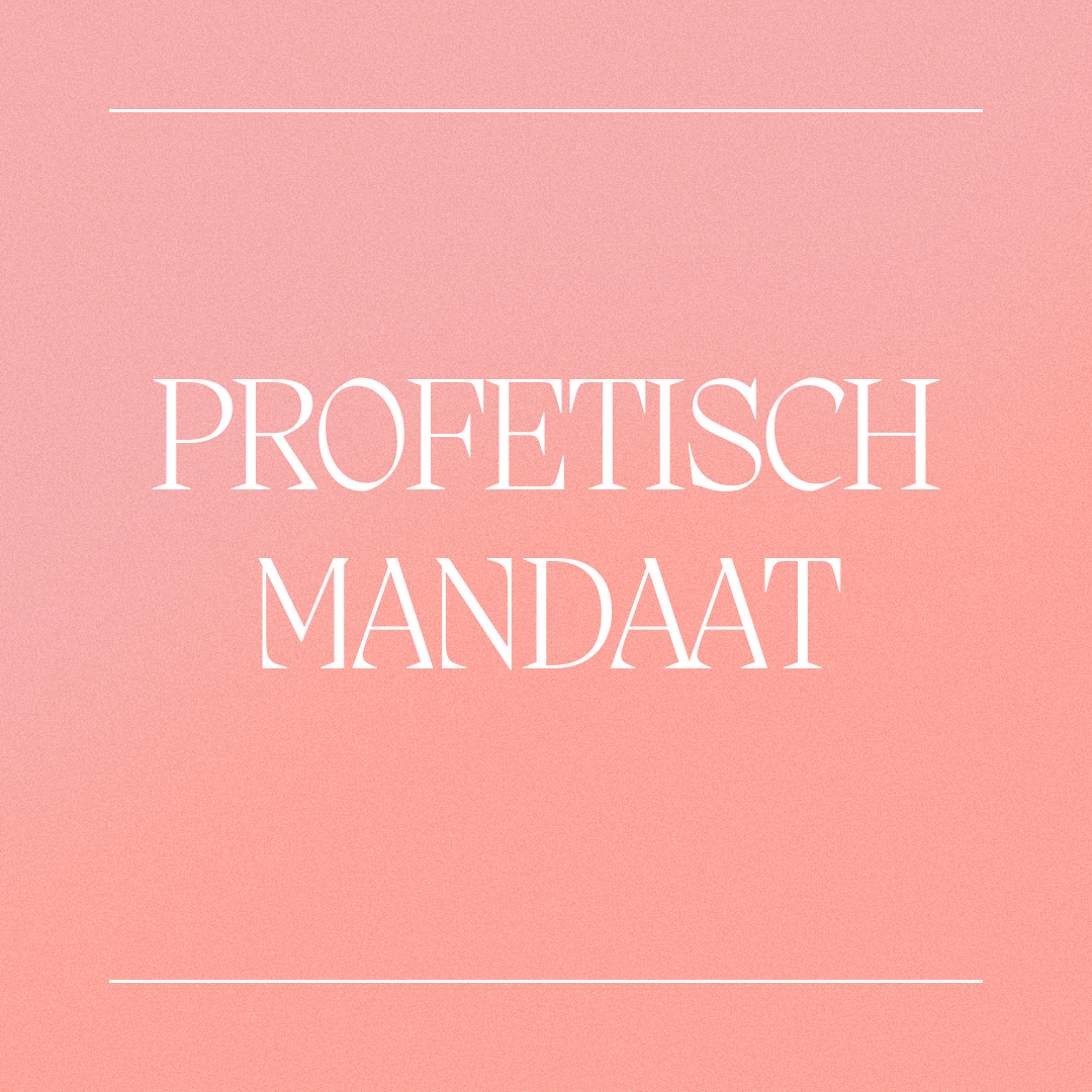 Pink achtergrond met witte tekst 'PROFETISCH MANDaat' en dunne witte lijnen boven en onder de tekst.