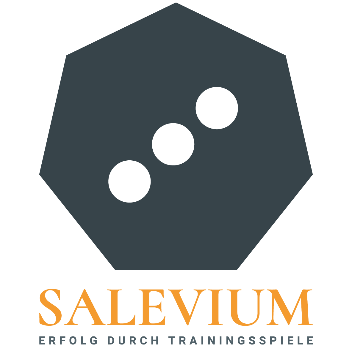 Logo mit Hexagon und drei schwarzen Punkten, darunter der Name 'Salarium' in orange und der Slogan 'Erfolg durch Trainingsspiele' in Grau.
