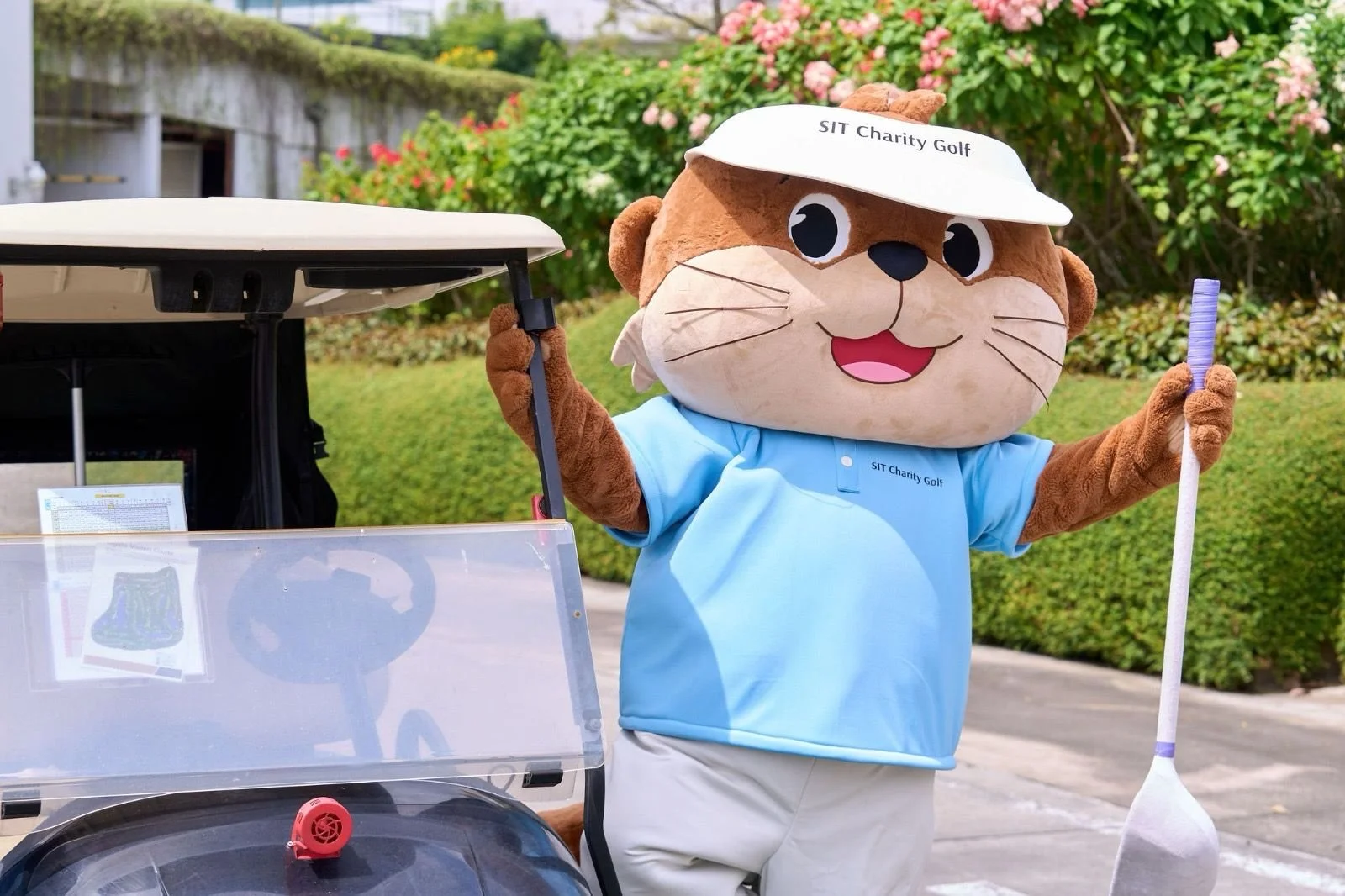 what we have been up to...