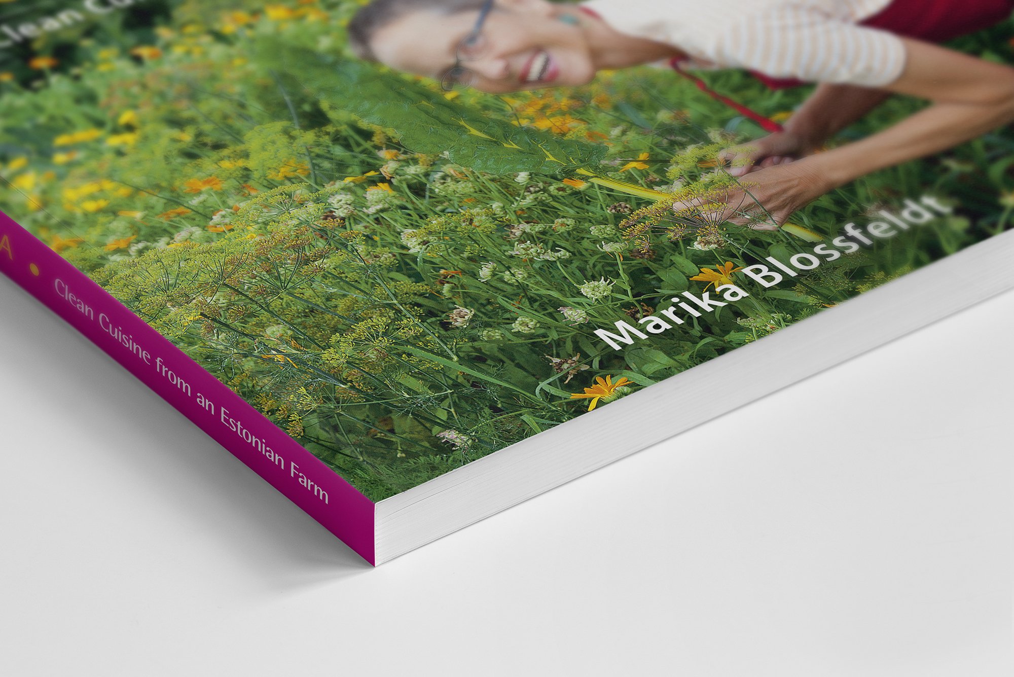 Webbook-7.jpg