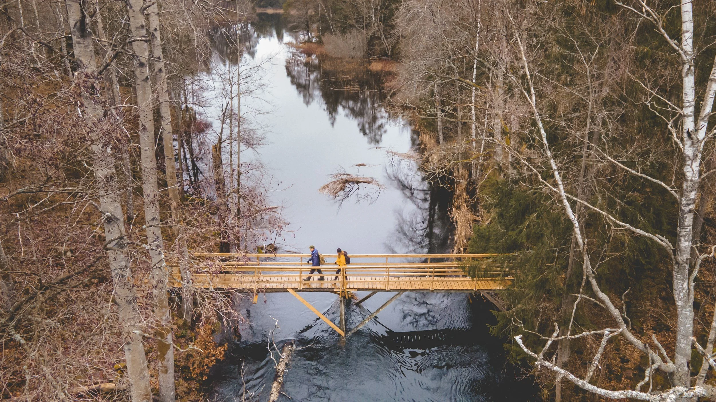 DJI_0786.jpg