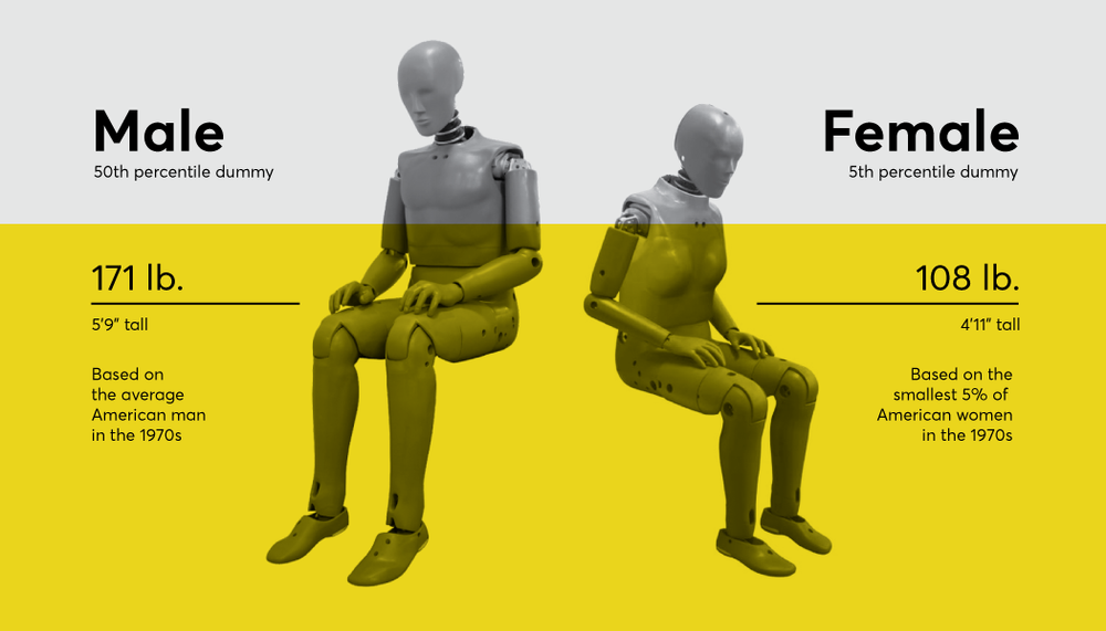 First female crash test dummy — Fala Works