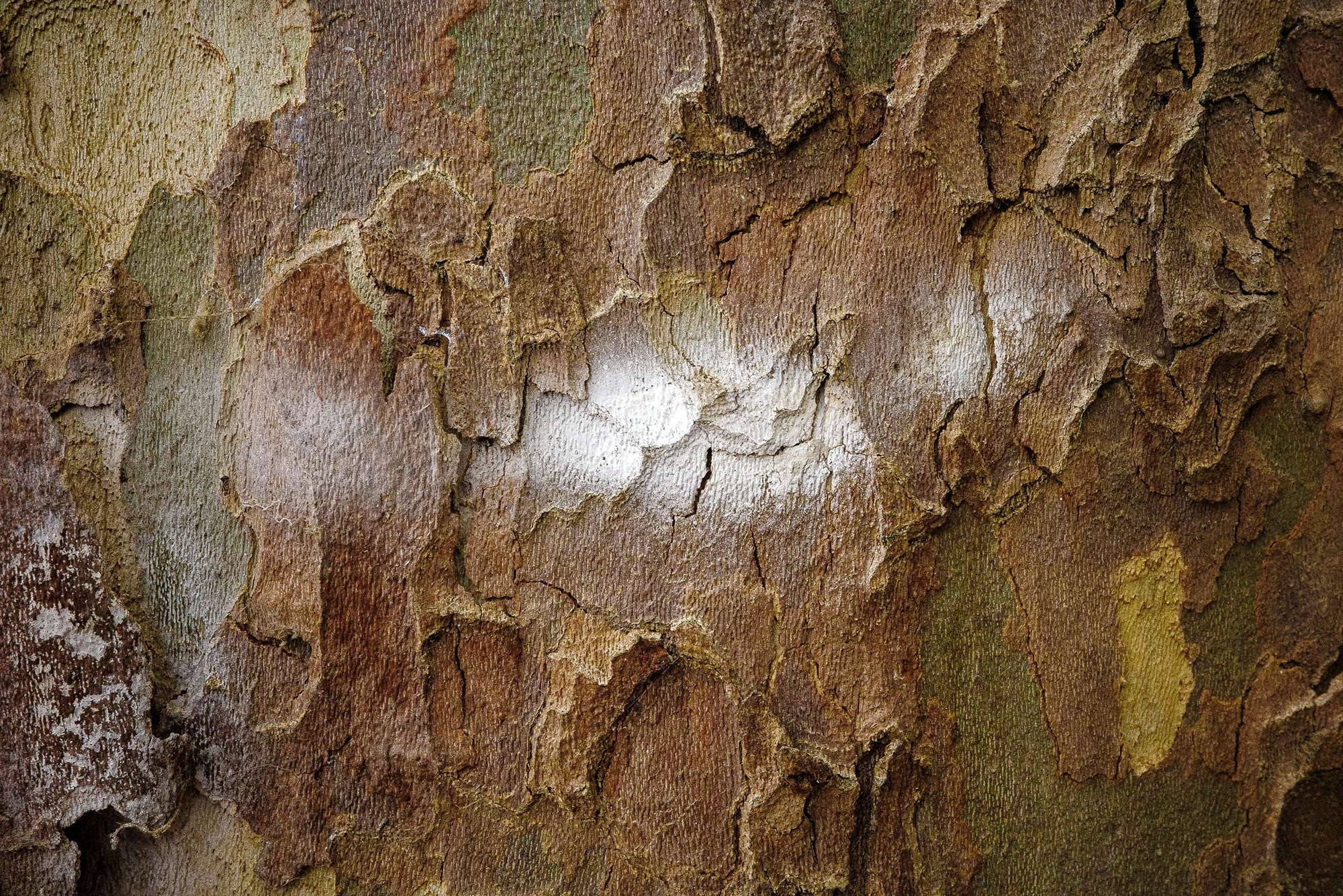 R0000501_WEB.jpg