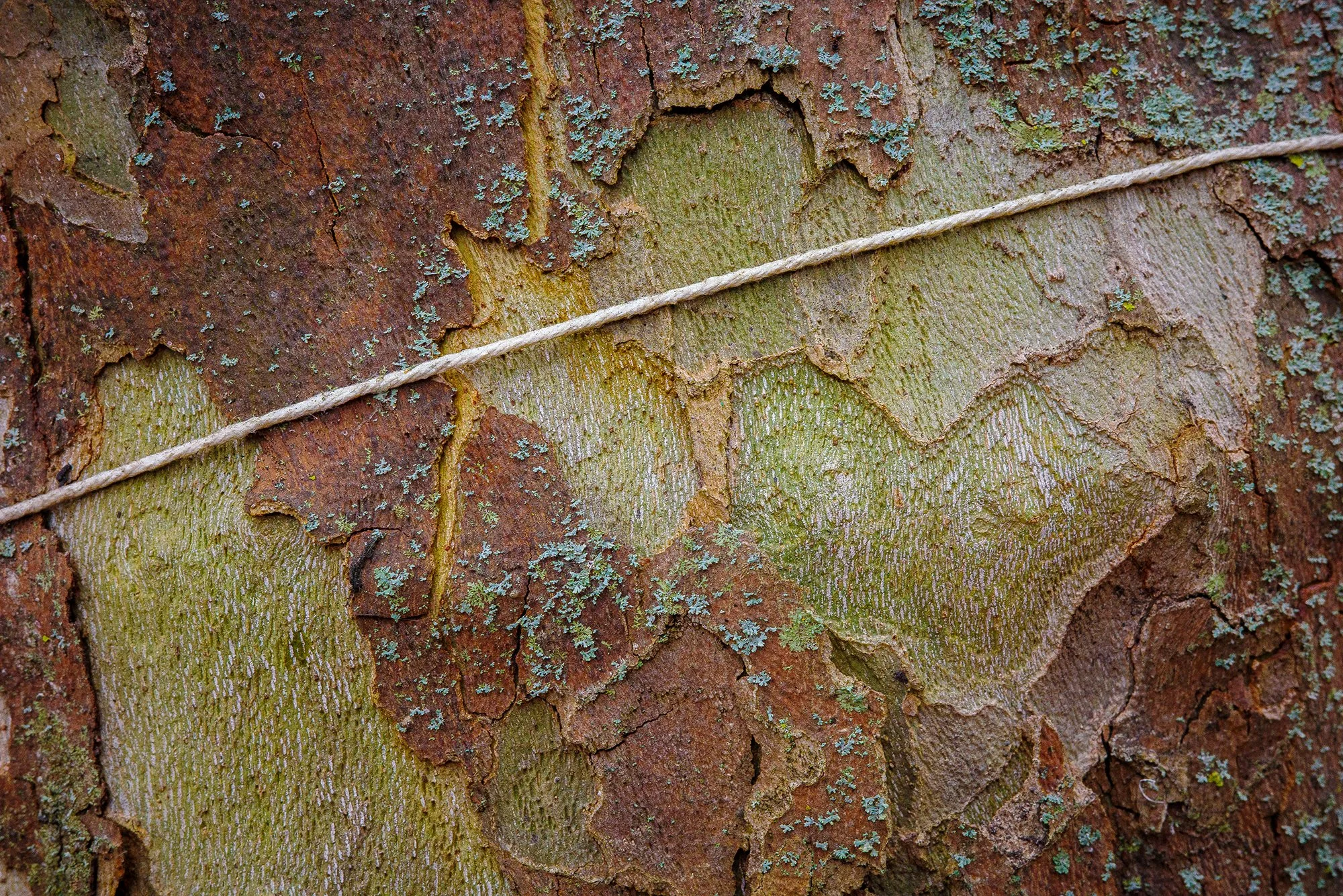 R0000495_WEB.jpg