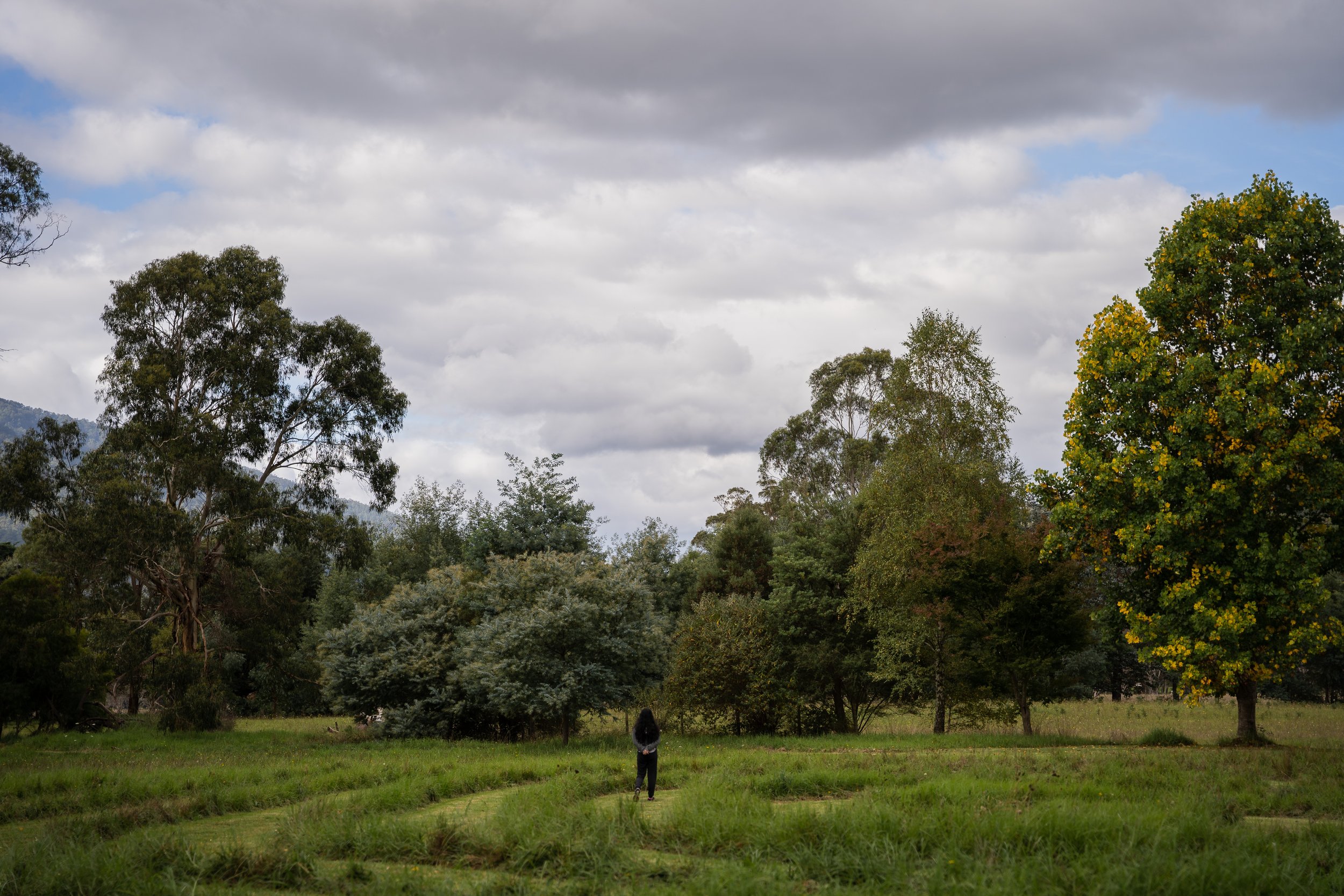 Inner Work, Outer Change: Why the Most Effective Systems Changers Are Learning to Go Inward