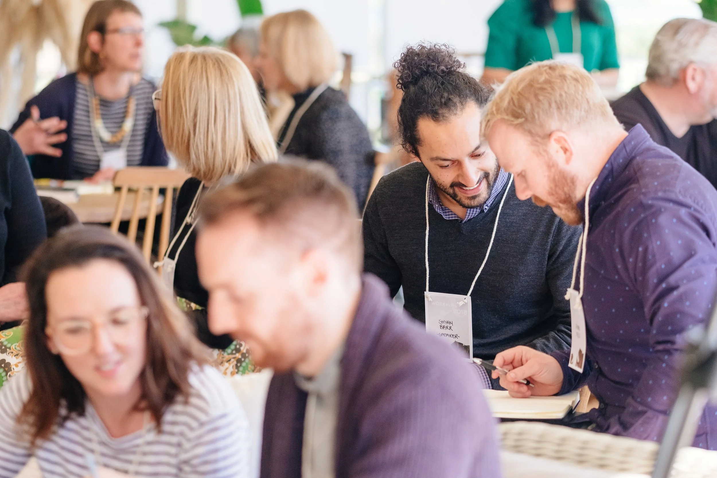 Team culture consulting Melbourne
