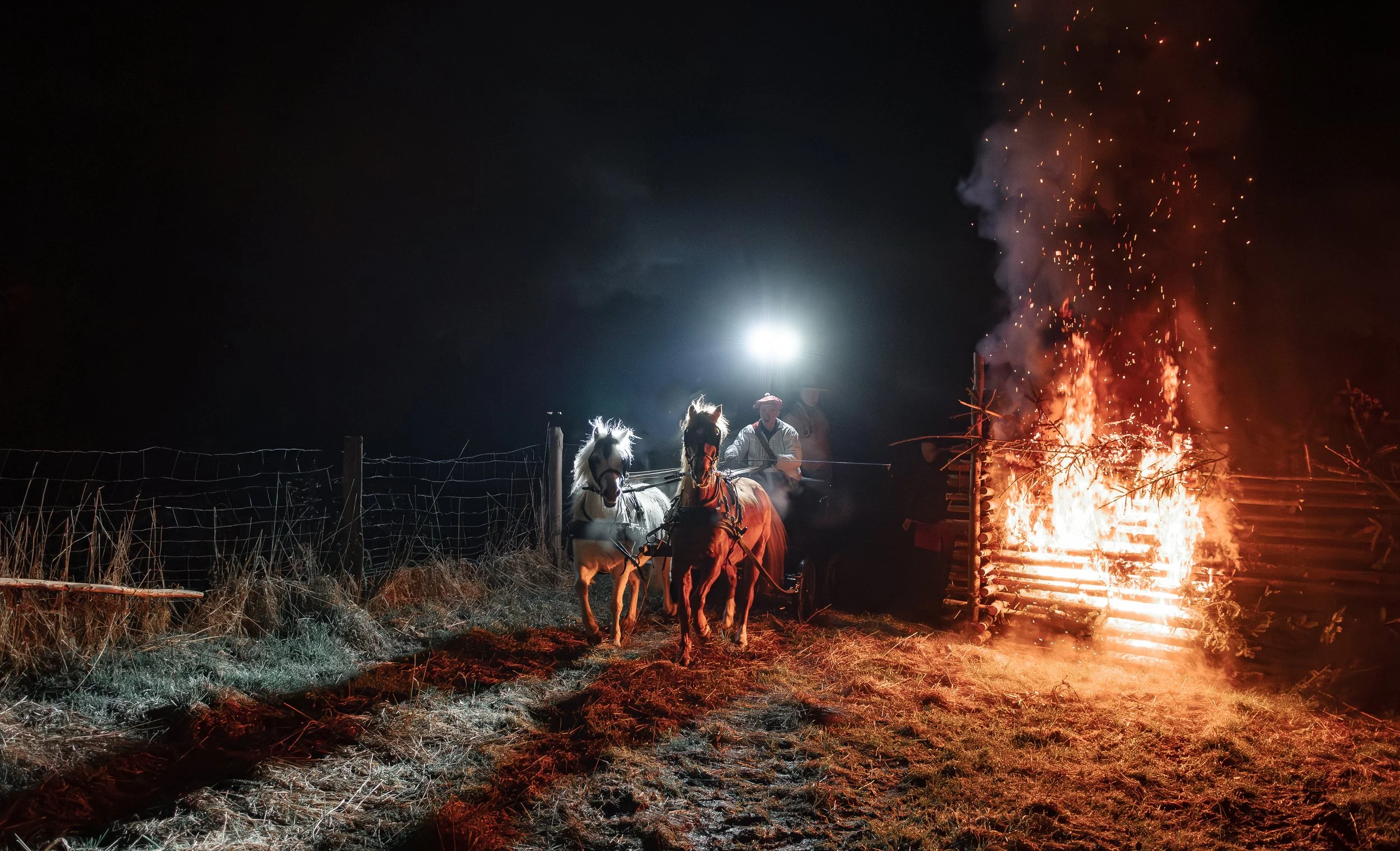 _DSC3154-Avec accentuation-Bruit.jpg