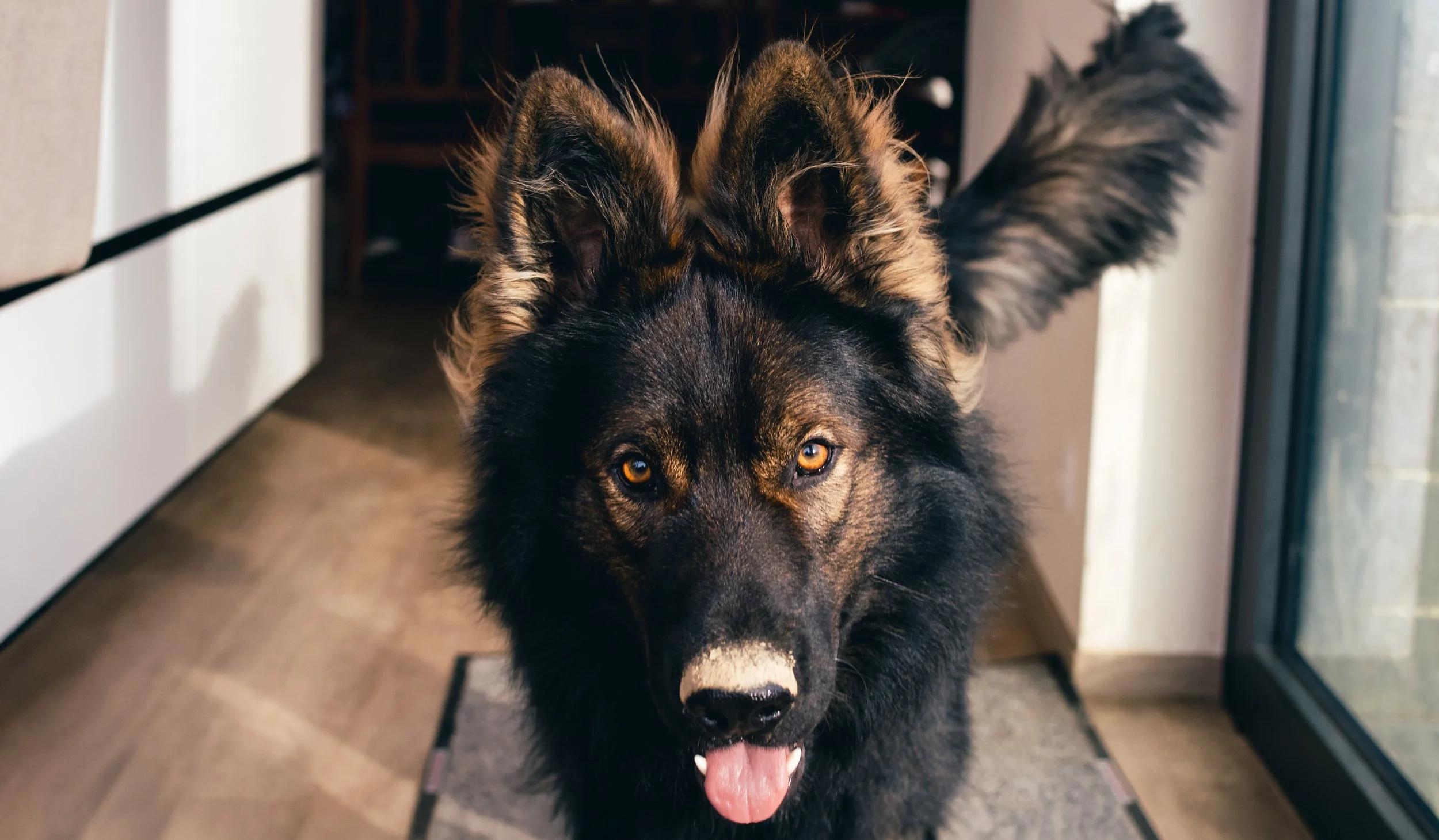 _DSC6070-3 copie.jpg