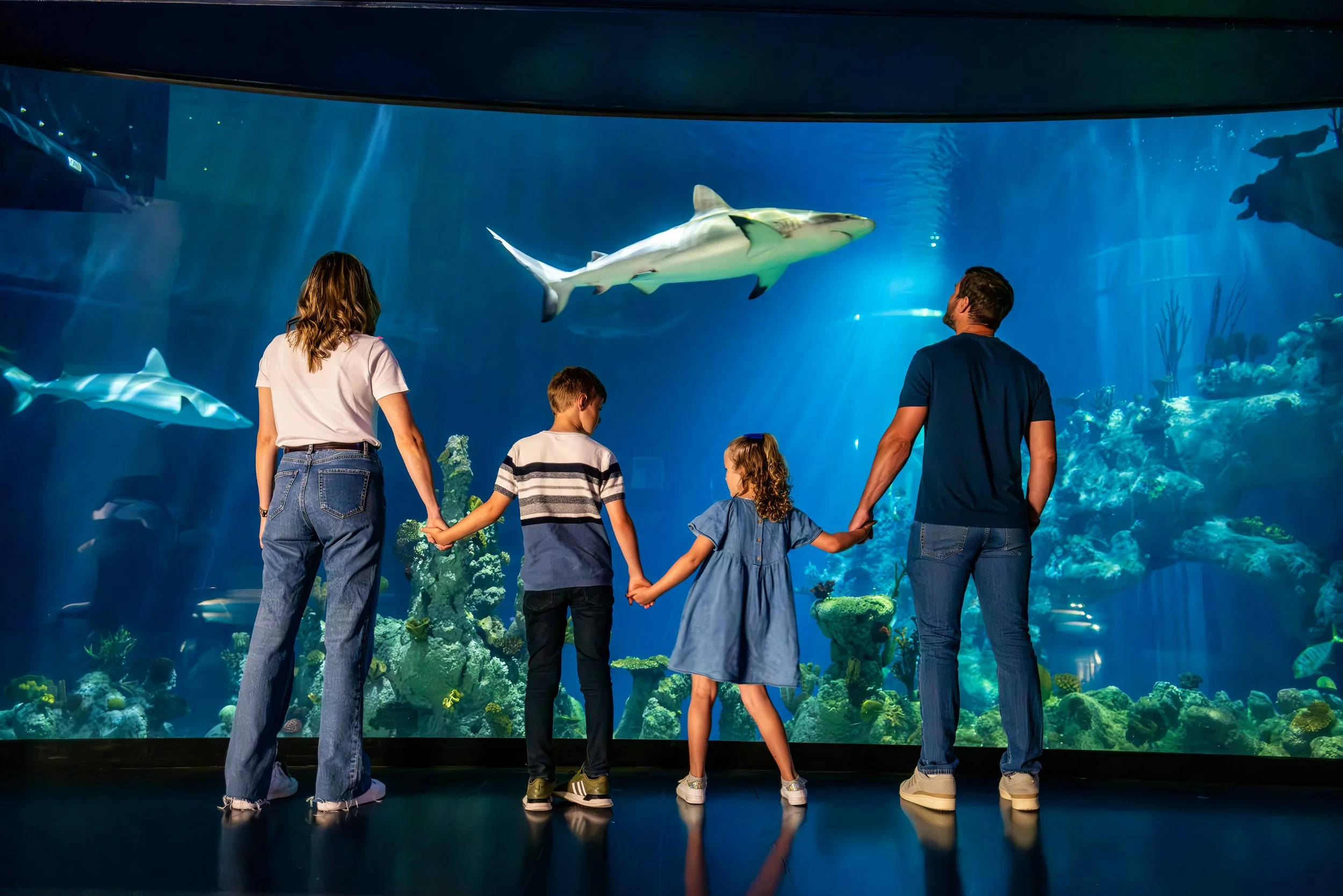 The Deep’s commitment to sustainability is so much more than a drop in the ocean