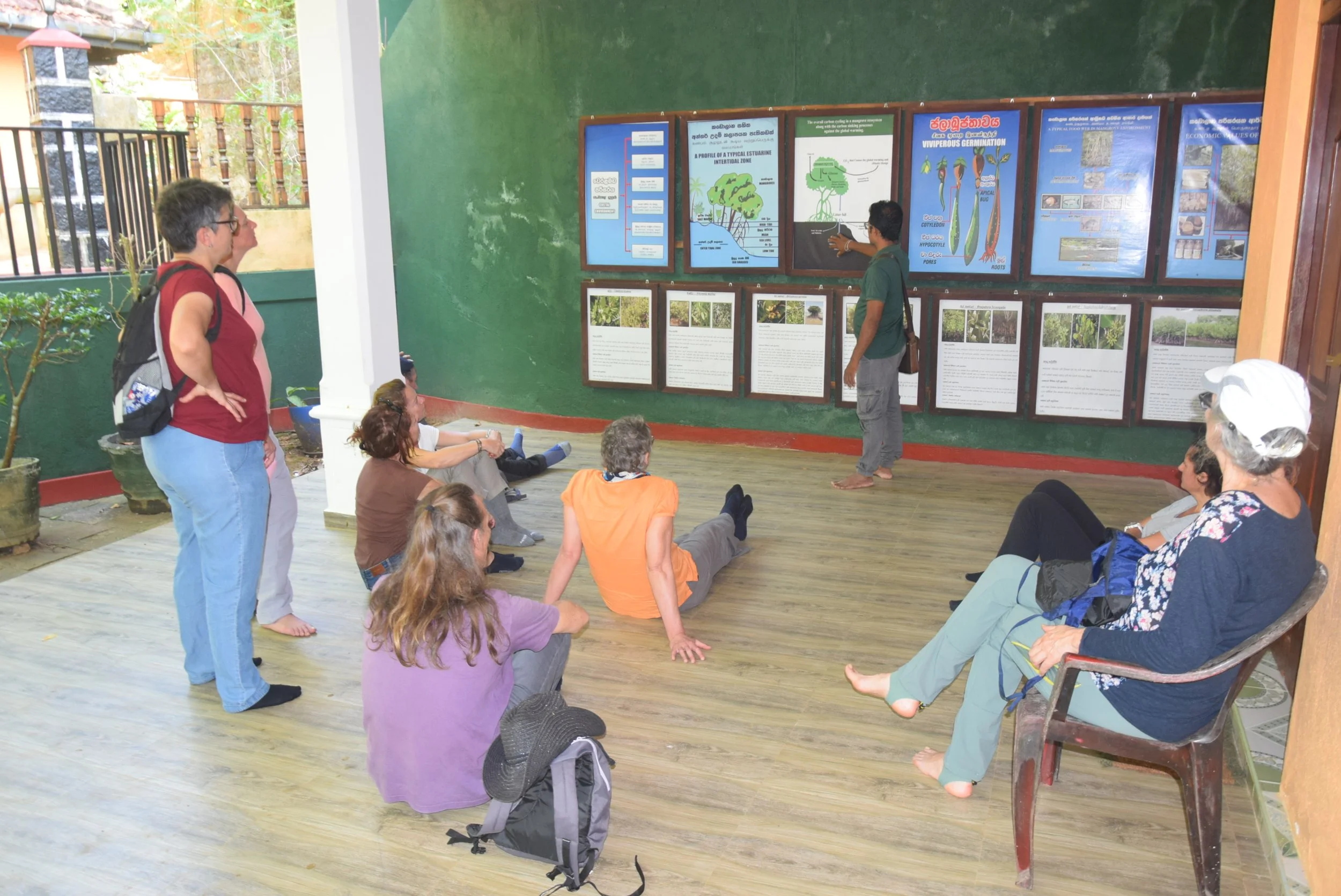Musee mangroves.JPG