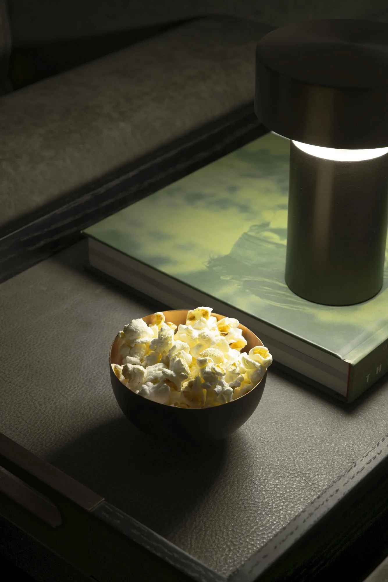 Oxshott Private Residence Cinema Fiona Brass Interiors (10).jpg