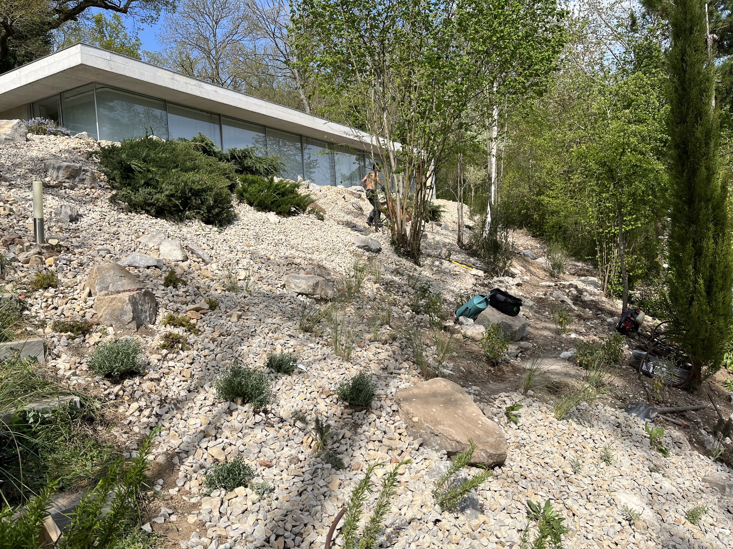 Establishing dry garden planting on a free-draining slope with mineral mulch