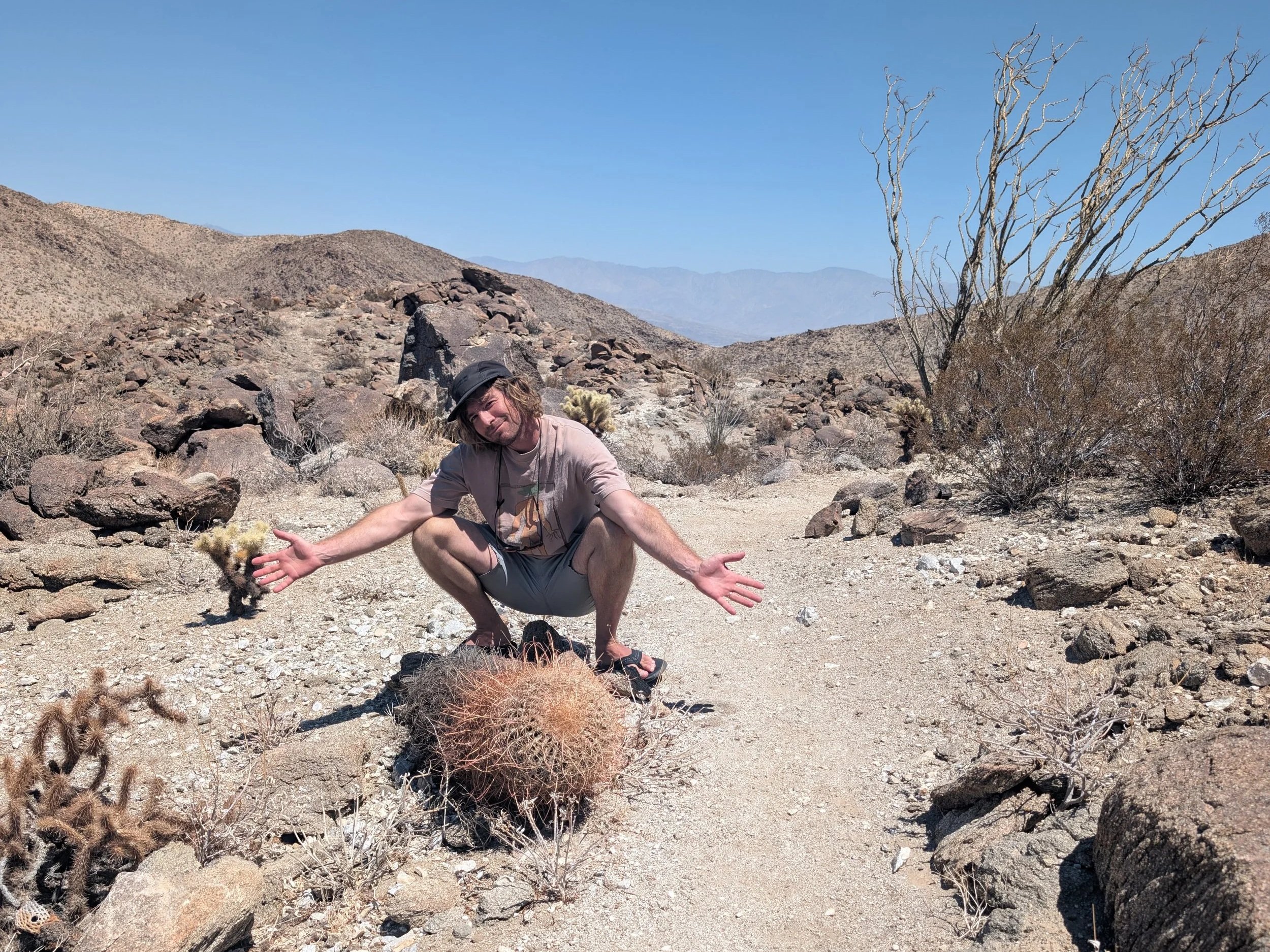 California desert landscape inspiring drought-tolerant garden design in Paris
