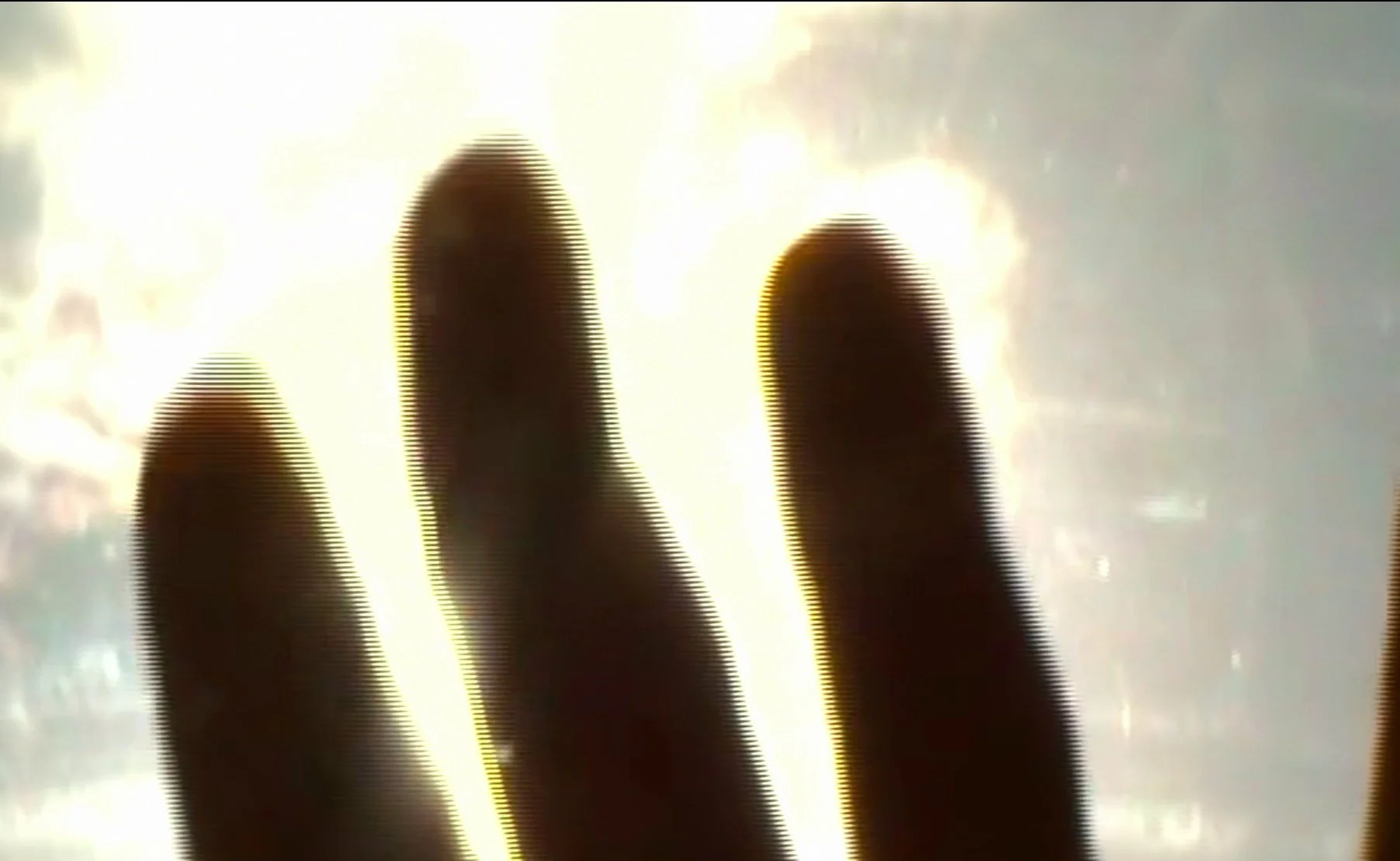 vlcsnap-2023--08-13h39m37s455.jpg