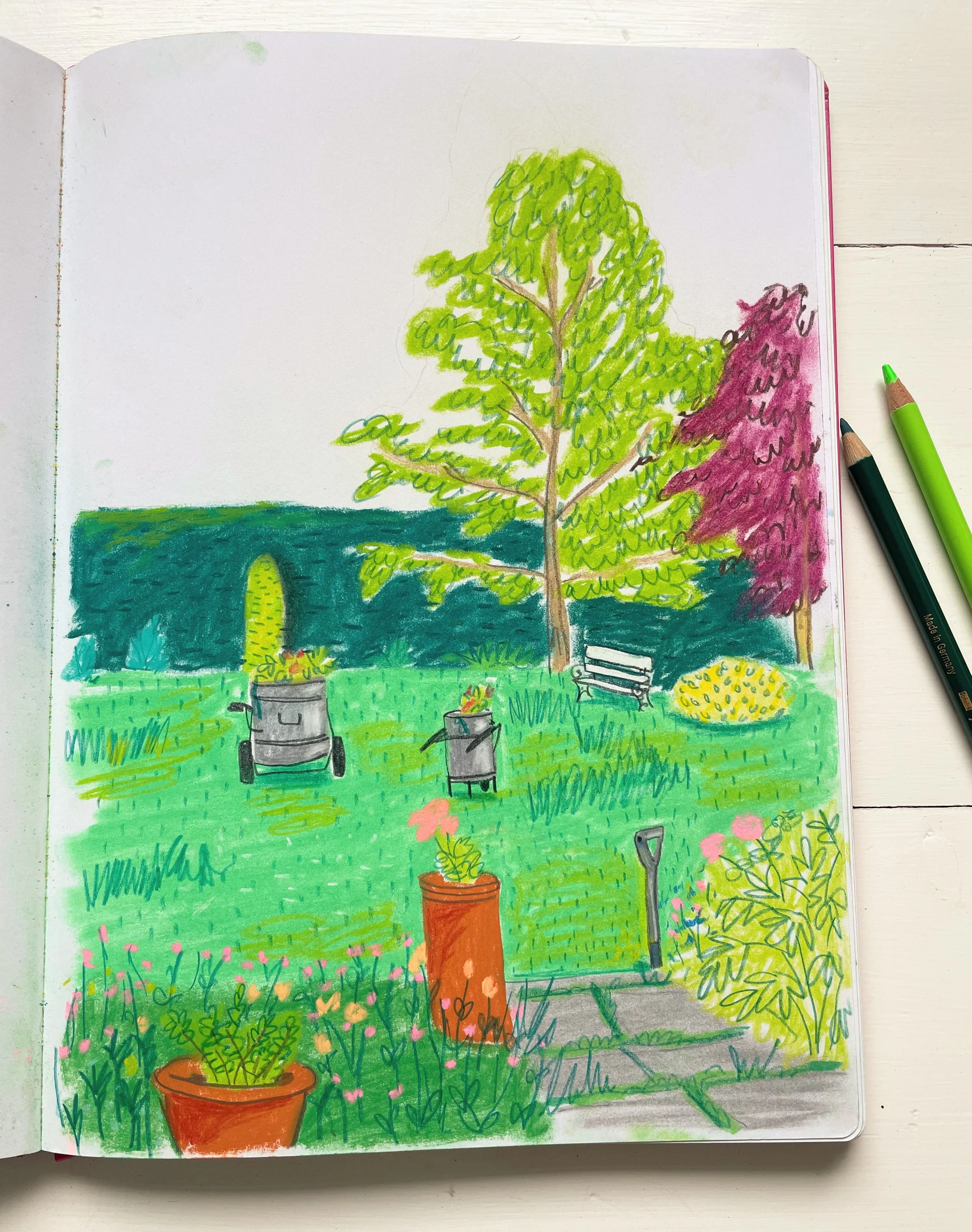 garden sketch