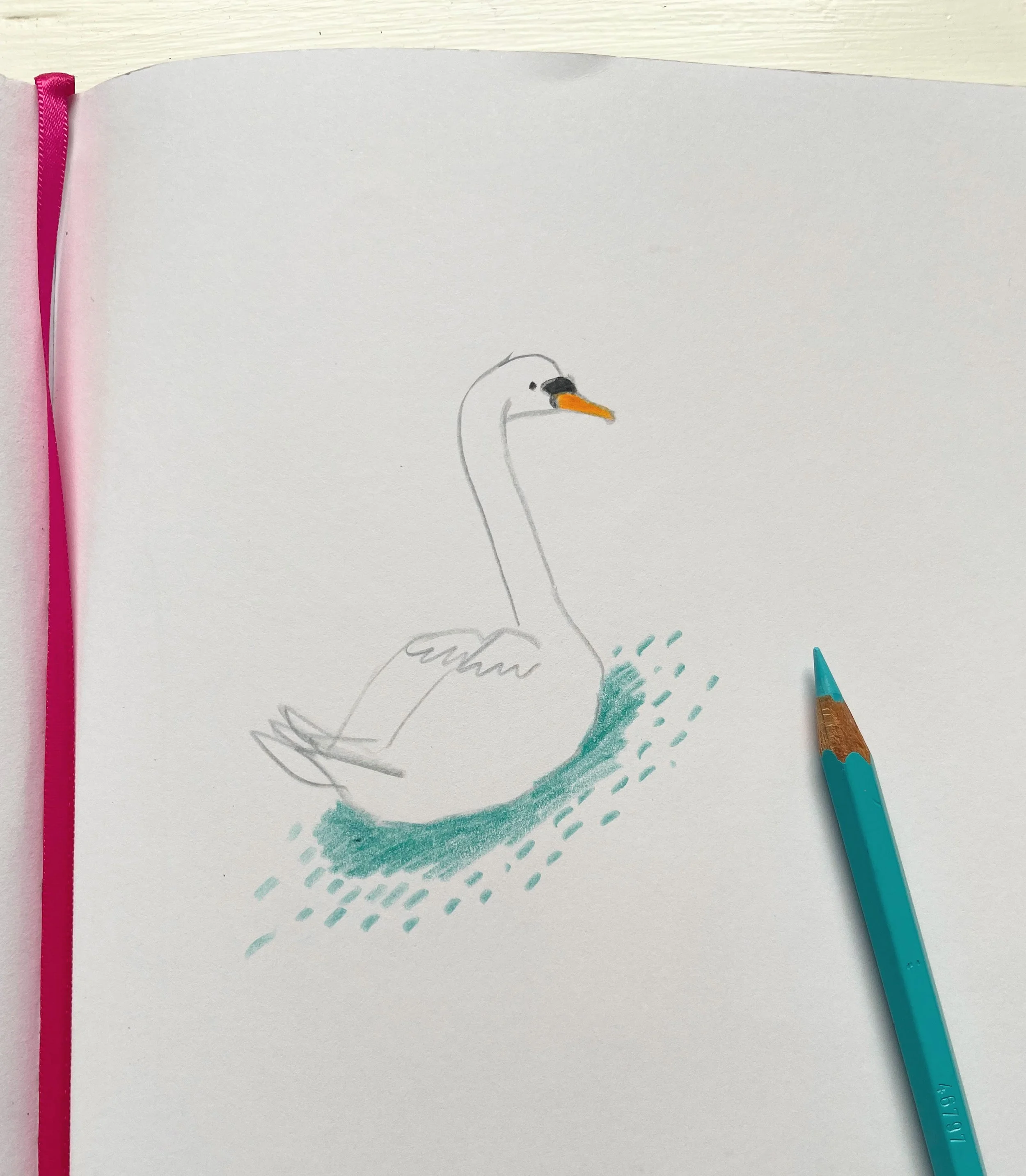 swans sketchbook