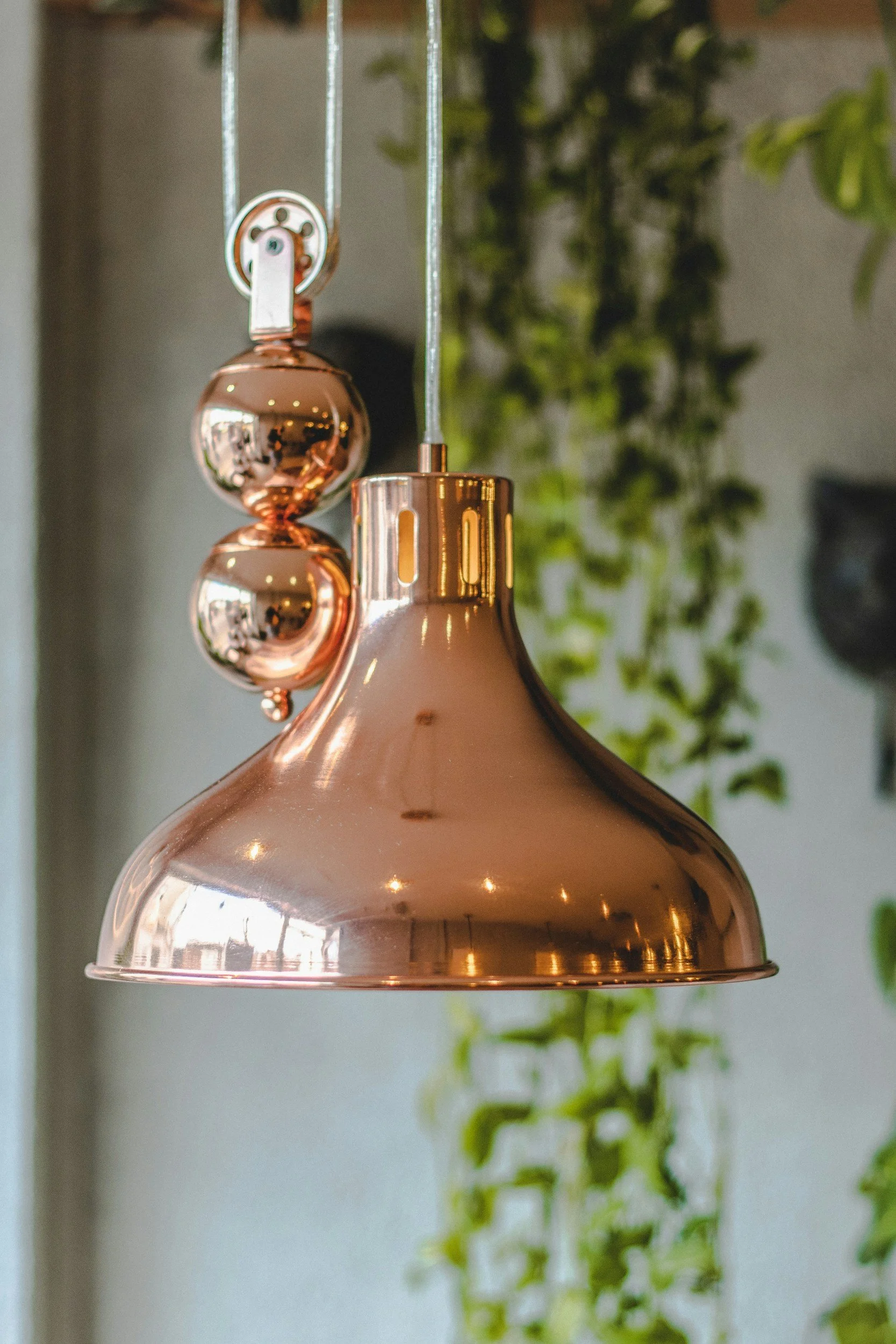 copper CU lamp with green plant