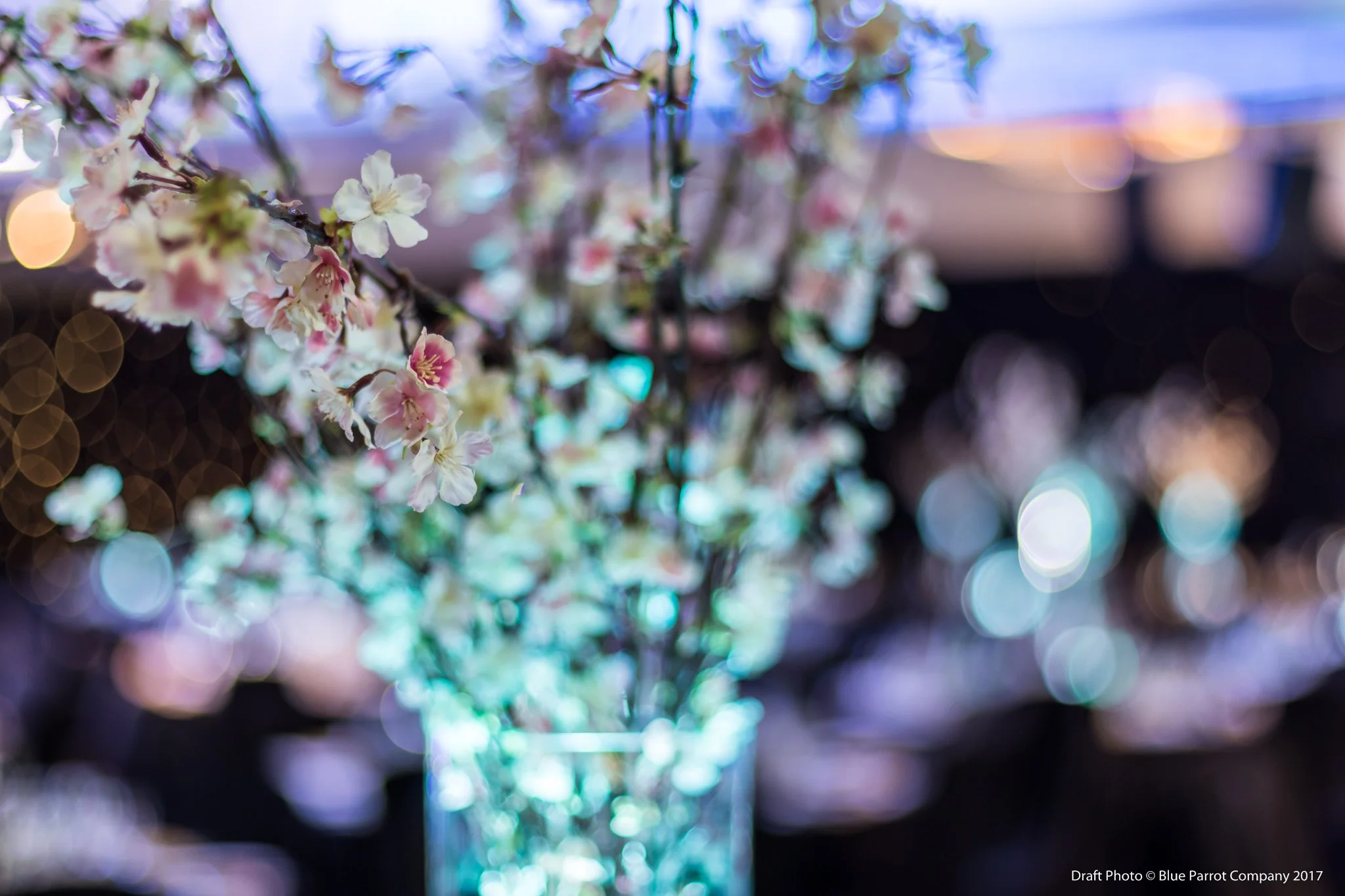 Blossom Wide Vase
