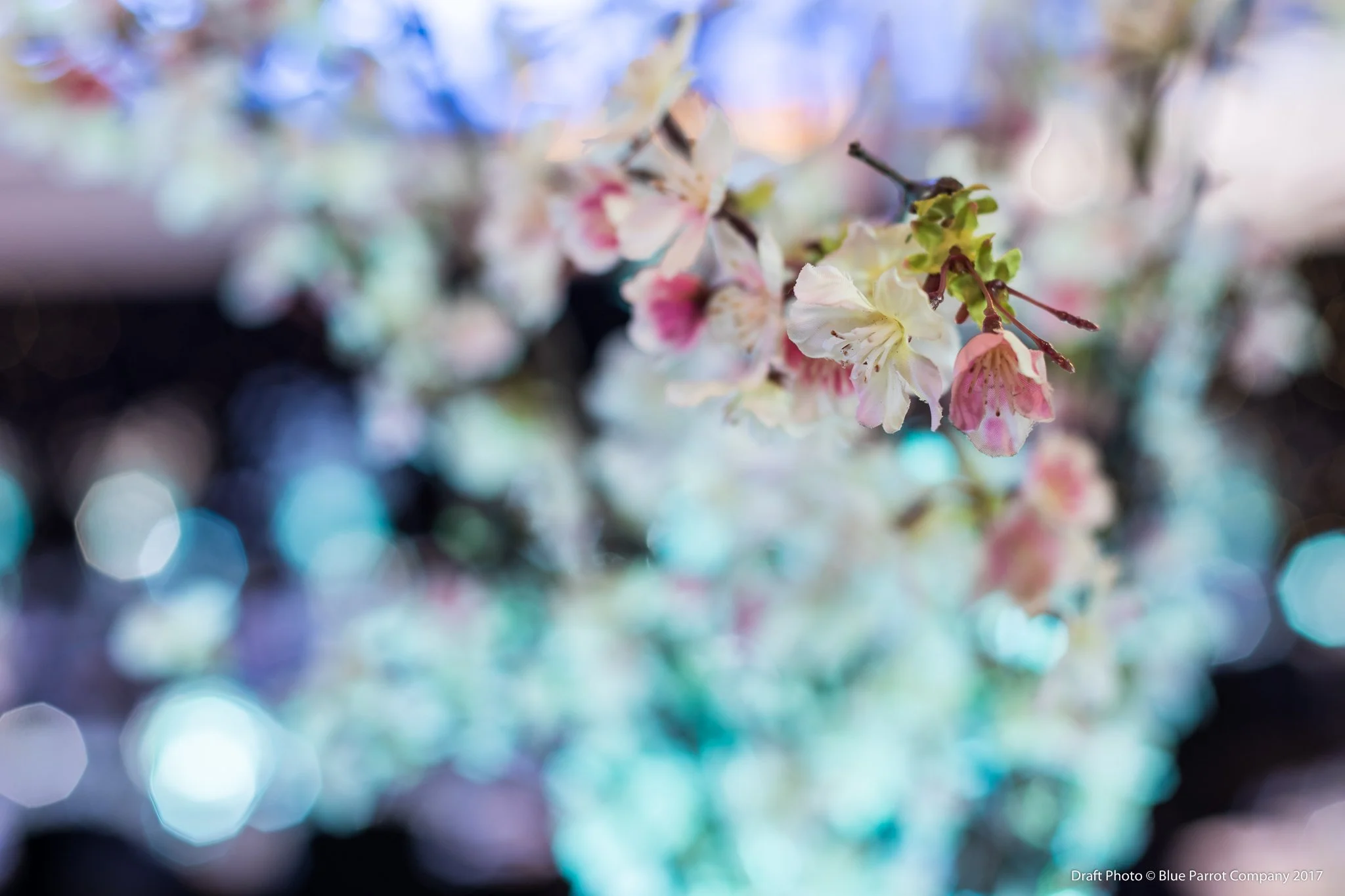 Blossom Slim Vase