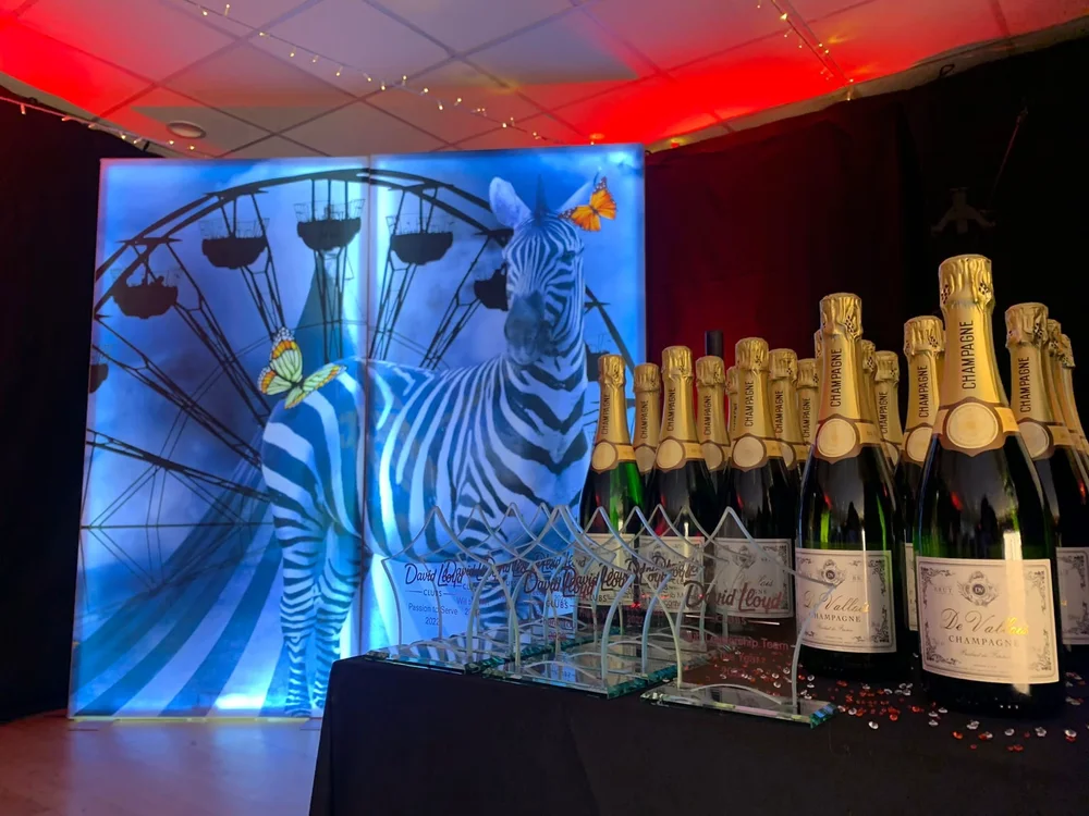 Light Panels — Blue Parrot Events Group