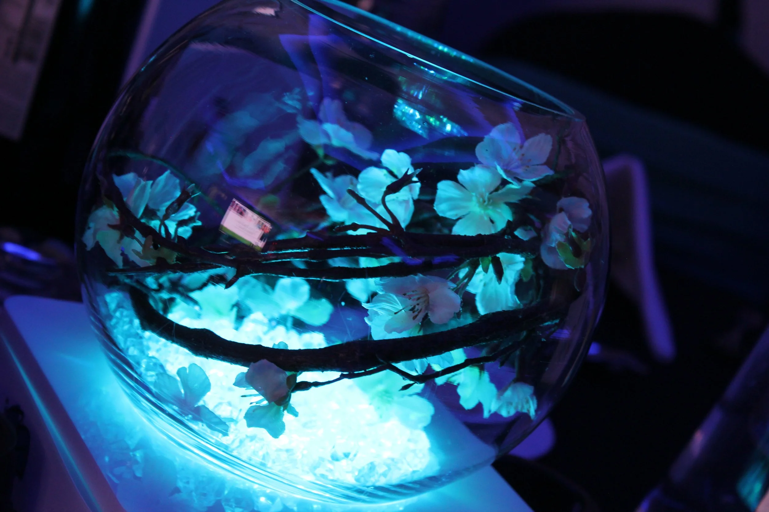 Blossom Fish Bowl