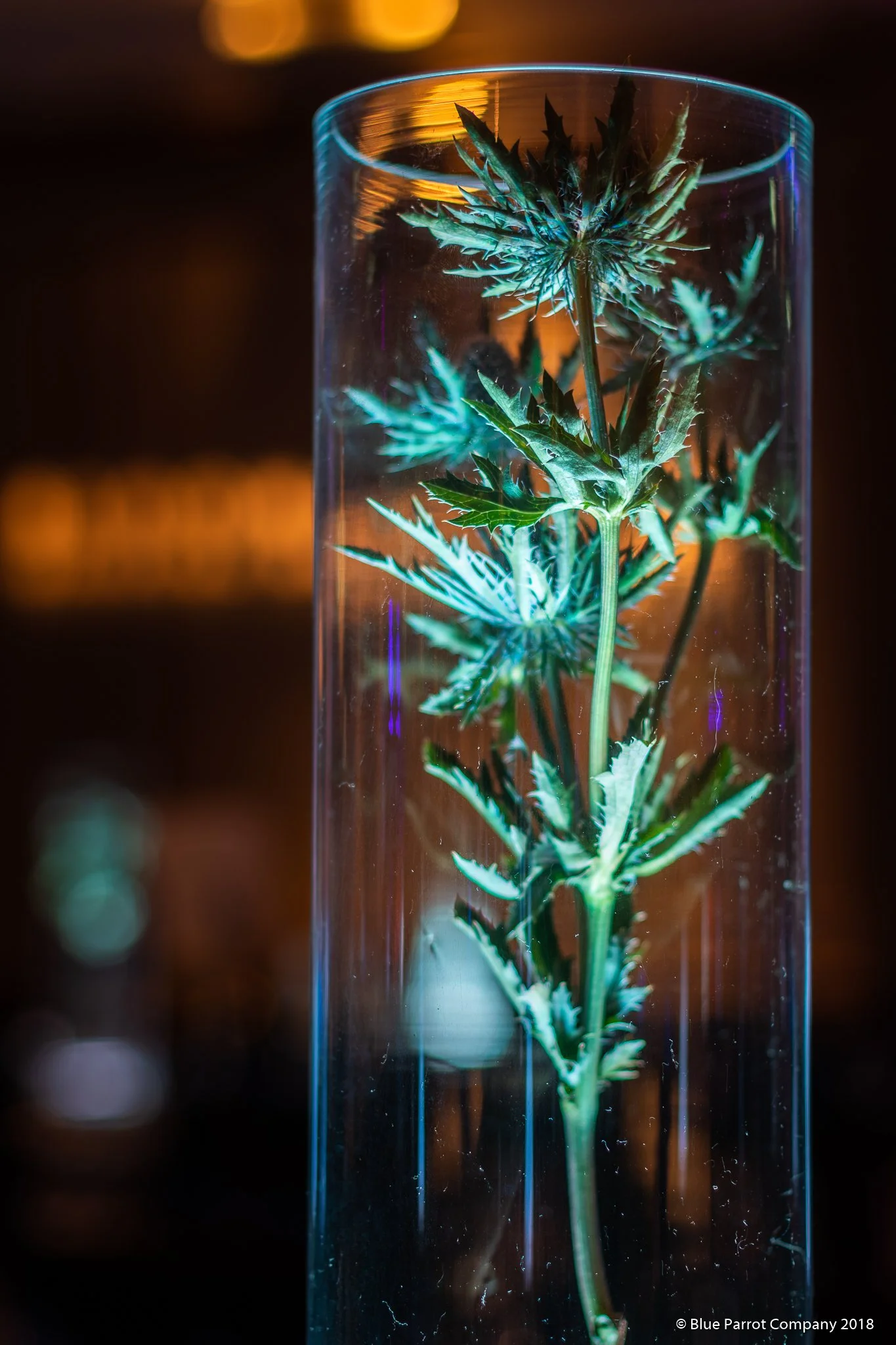 Thistle Wide Vase