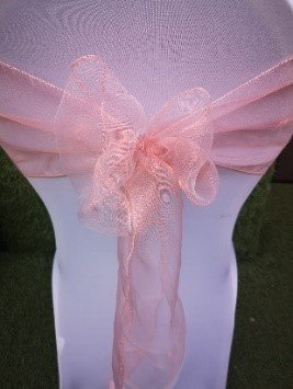 Coral Pink 45