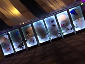 Light Panels — Blue Parrot Events Group