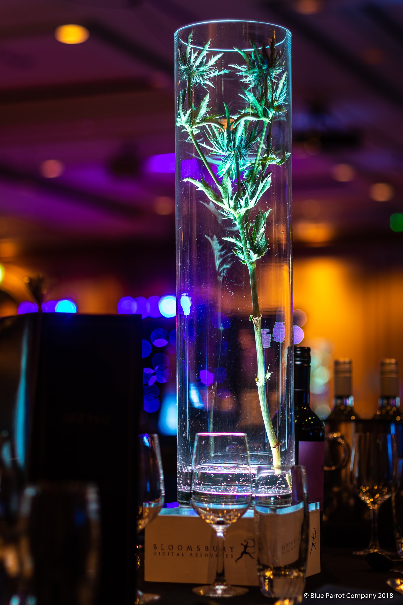 Thistle Wide Vase