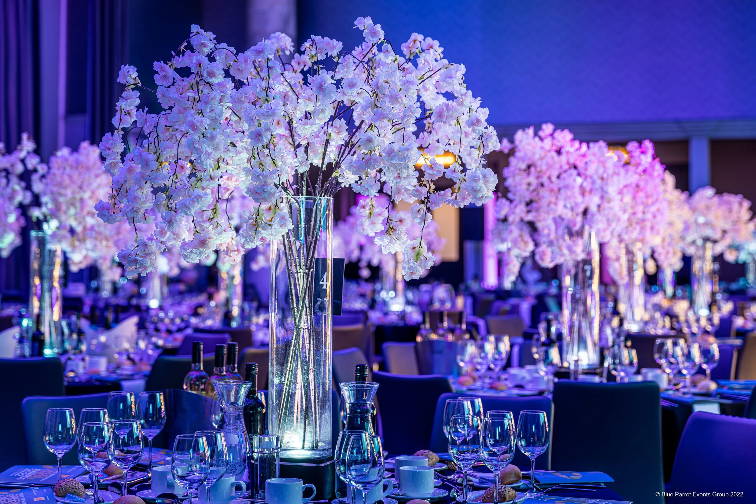Blossom Wide Vase