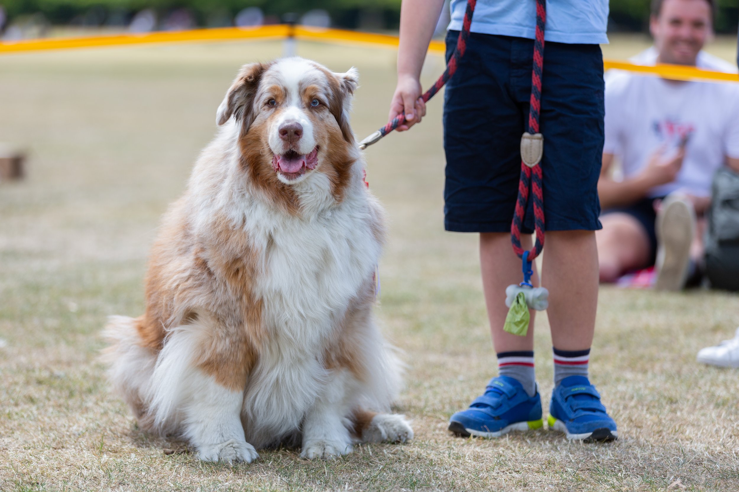 BatterseaPark_DogShow22-178.jpg