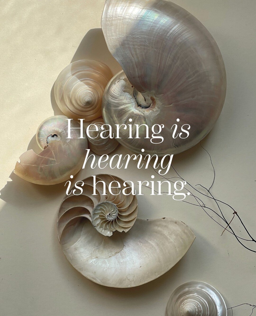 The brain - and to a certain extent, the heart and soul - decides whether what you're hearing is music or mayhem.⁠
⁠
Talk to us about making hearing beautiful again.