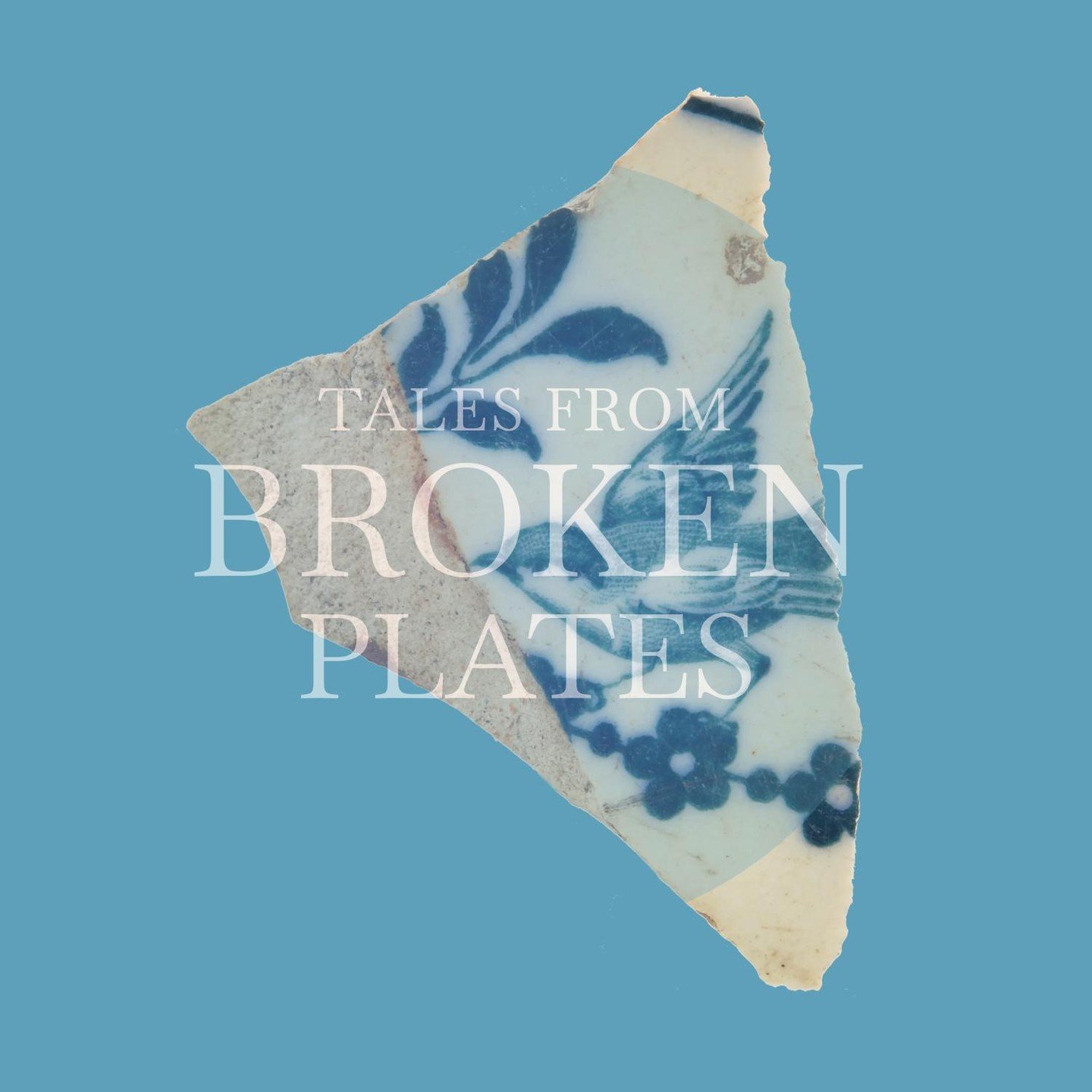 Your bookshelf is begging you.⁠
⁠
Mark Lawson Bell's 'Tales From Broken Plates' is a masterpiece. A richly visualised collection of playfully narrated, sensitively imagined tales of the demise of broken objects. The book you can't not buy! ⁠
⁠
Availa