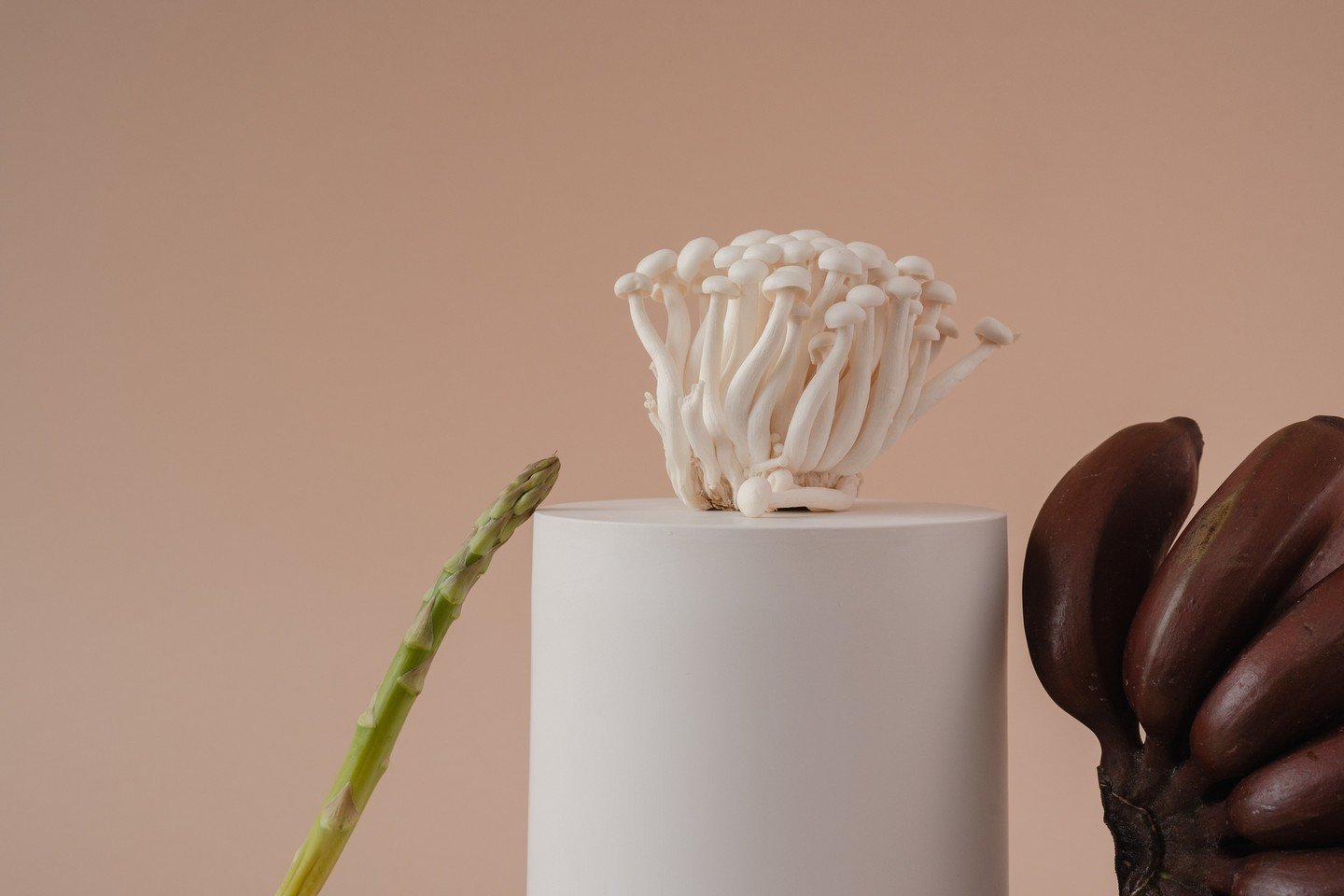It's wild in here. ⁠
⁠
We're busy with last strokes on our new range of adaptogenic gloriousness. Ready for you, September.⁠
⁠