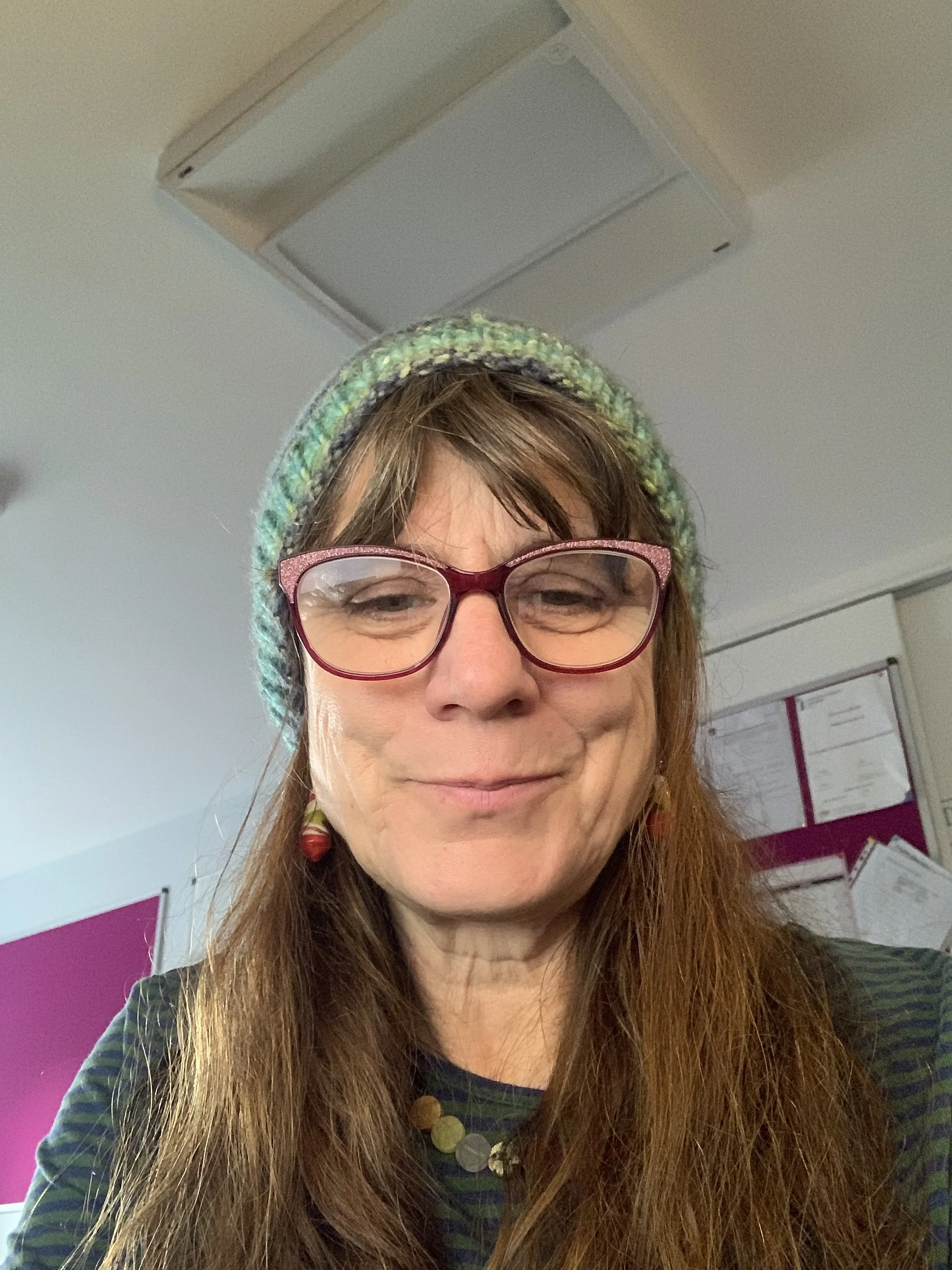 Whitleigh Community Trust, Community Development Manager. 