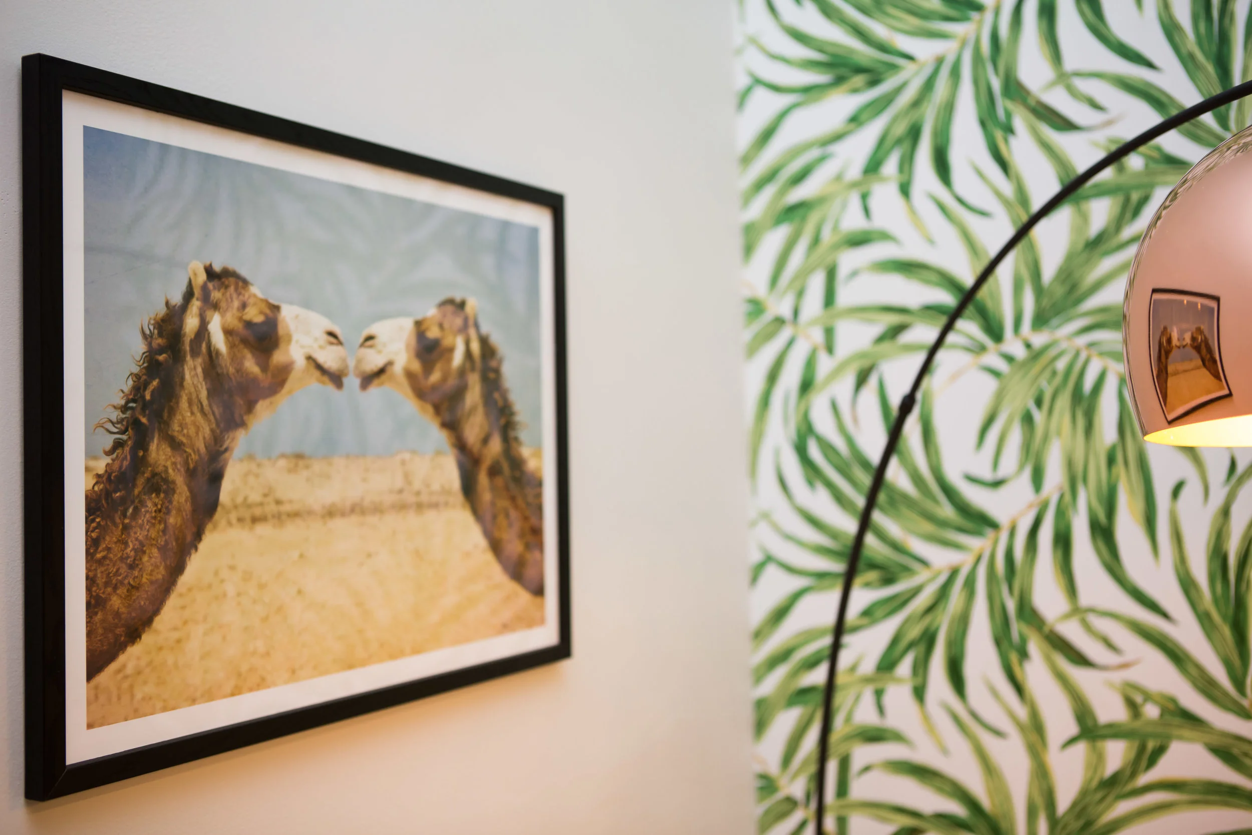 camels_X5B3806.jpg
