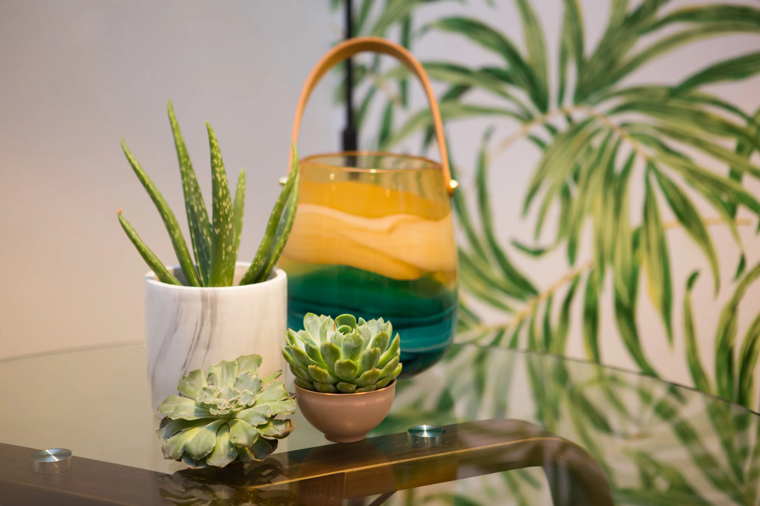 dining succulents_X5B3808.jpg